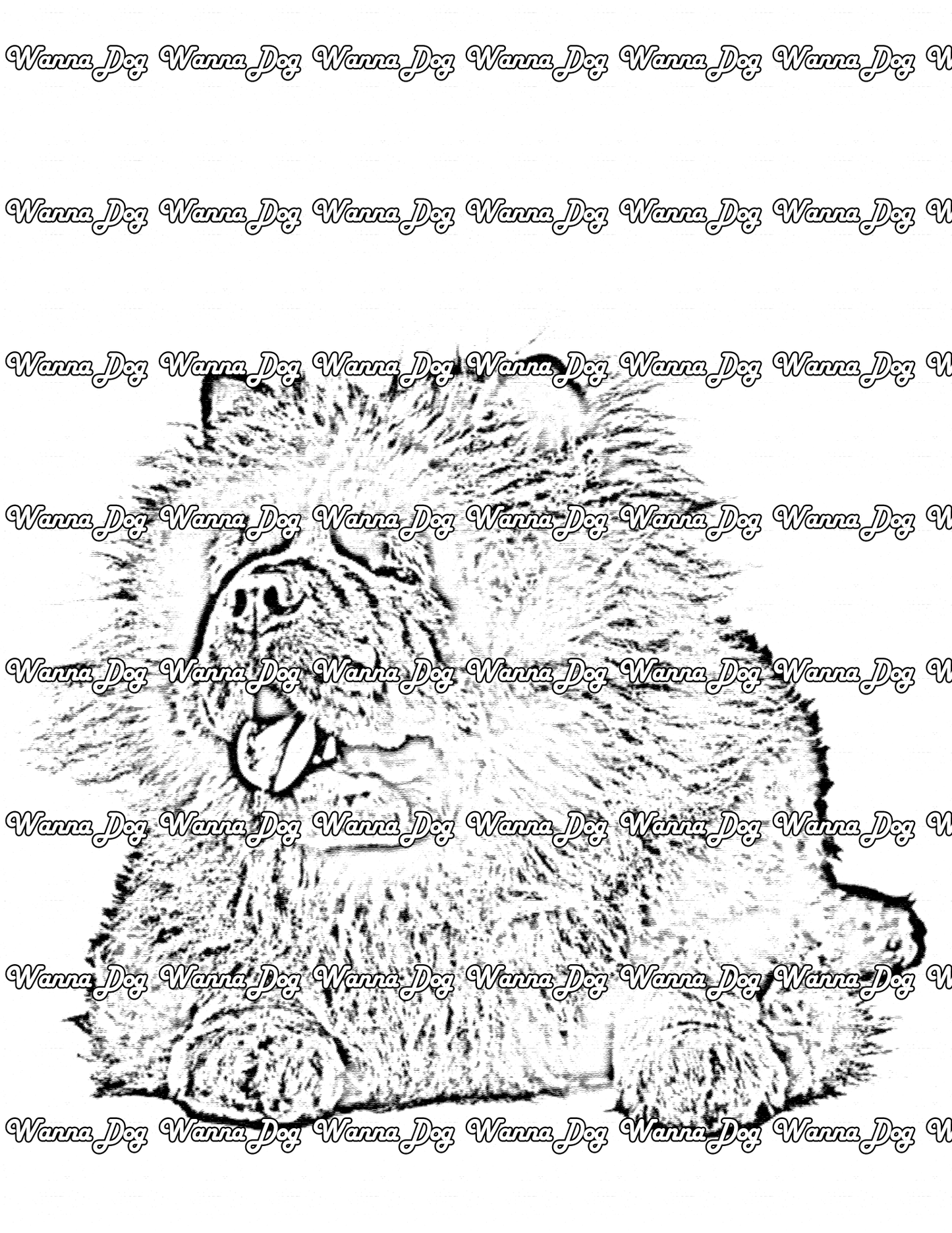 Chow Chow coloring pages of a Chow Chow laying down with their tongue out