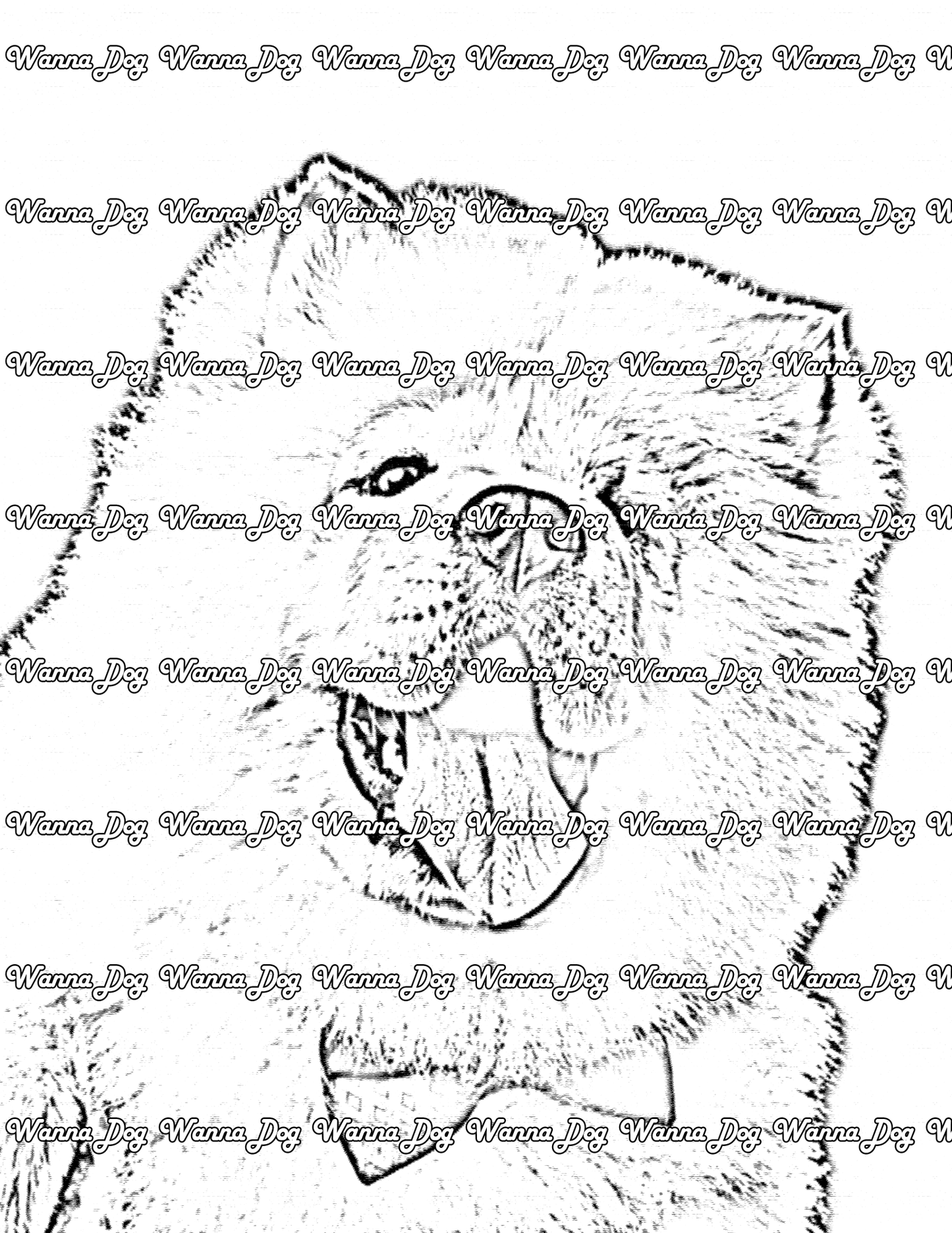 Chow Chow coloring pages of a Chow Chow wearing a bowtie