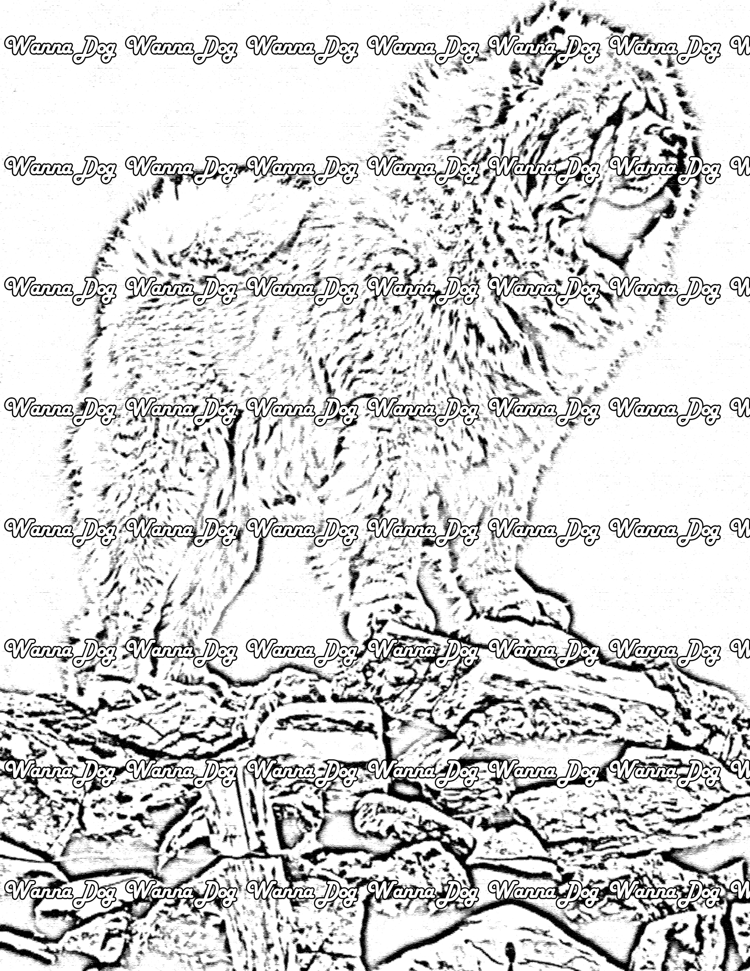 Chow Chow coloring pages of a Chow Chow standing on rocks