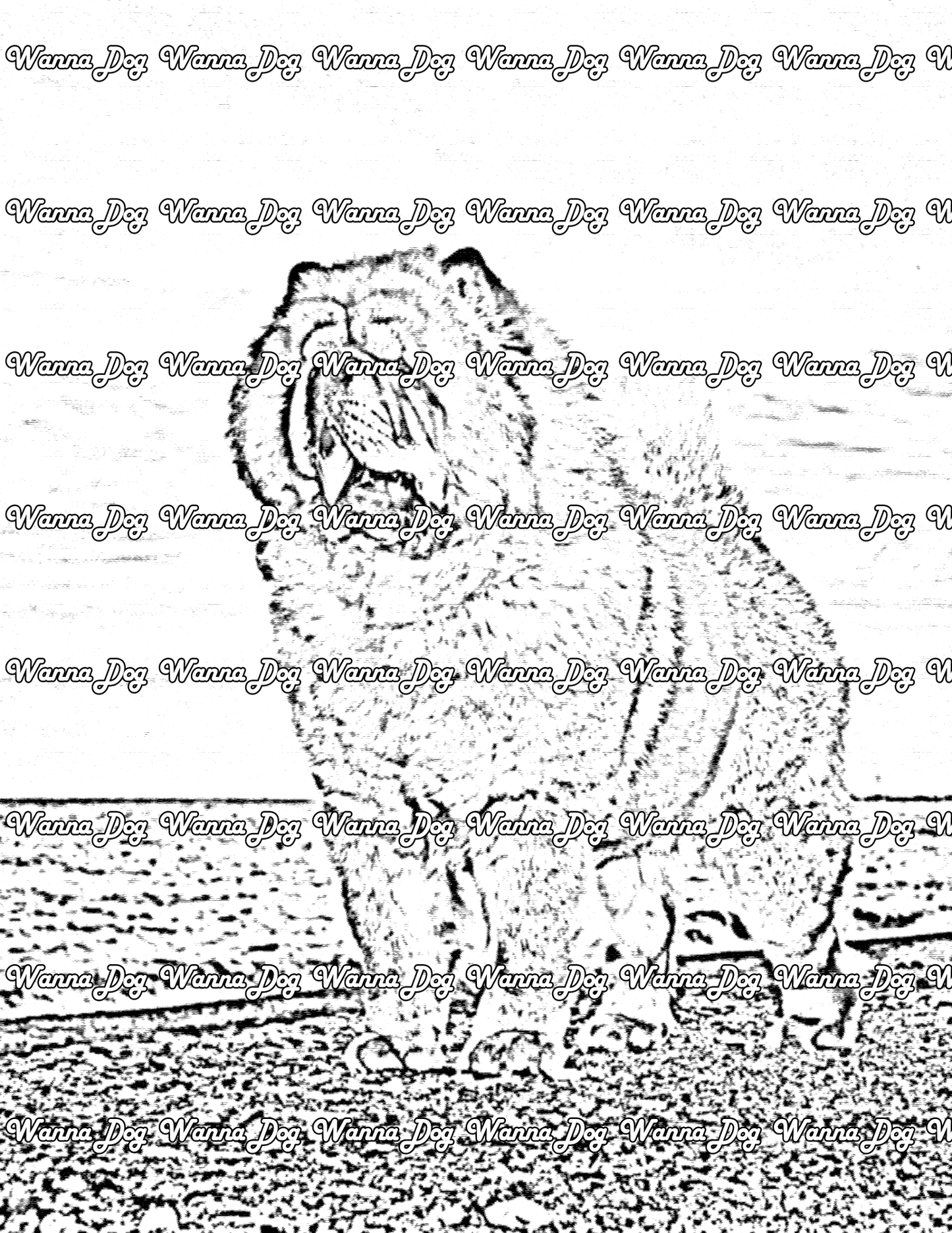 Chow Chow coloring pages of a Chow Chow near the water
