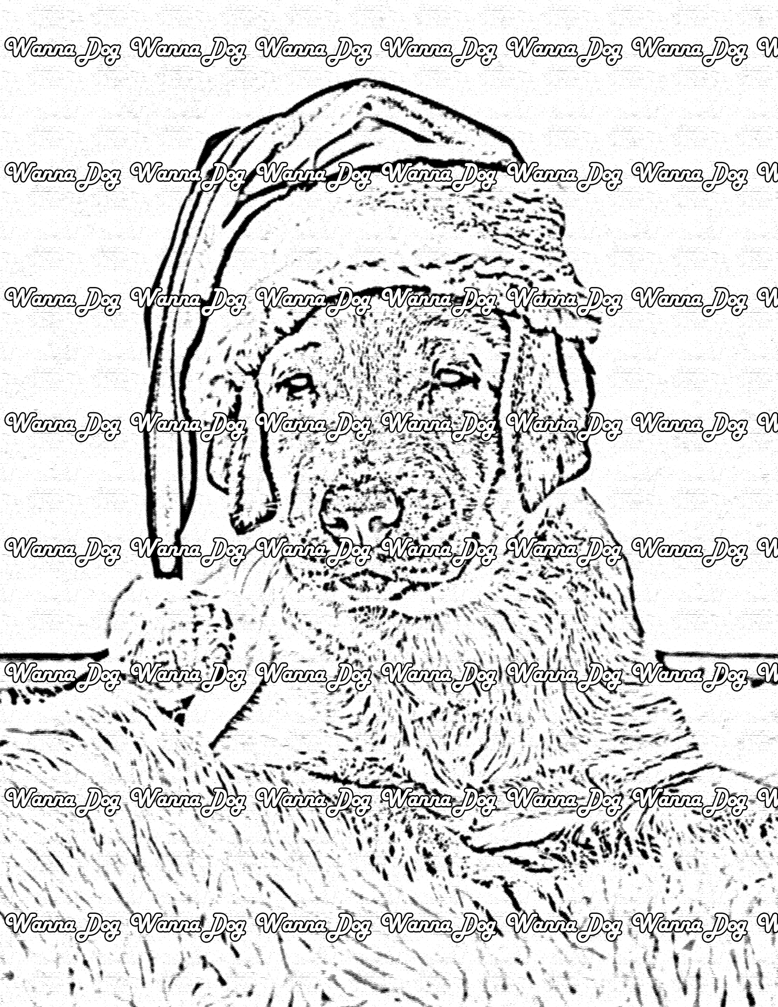 Labrador Coloring Page of a Labrador in a santa hat