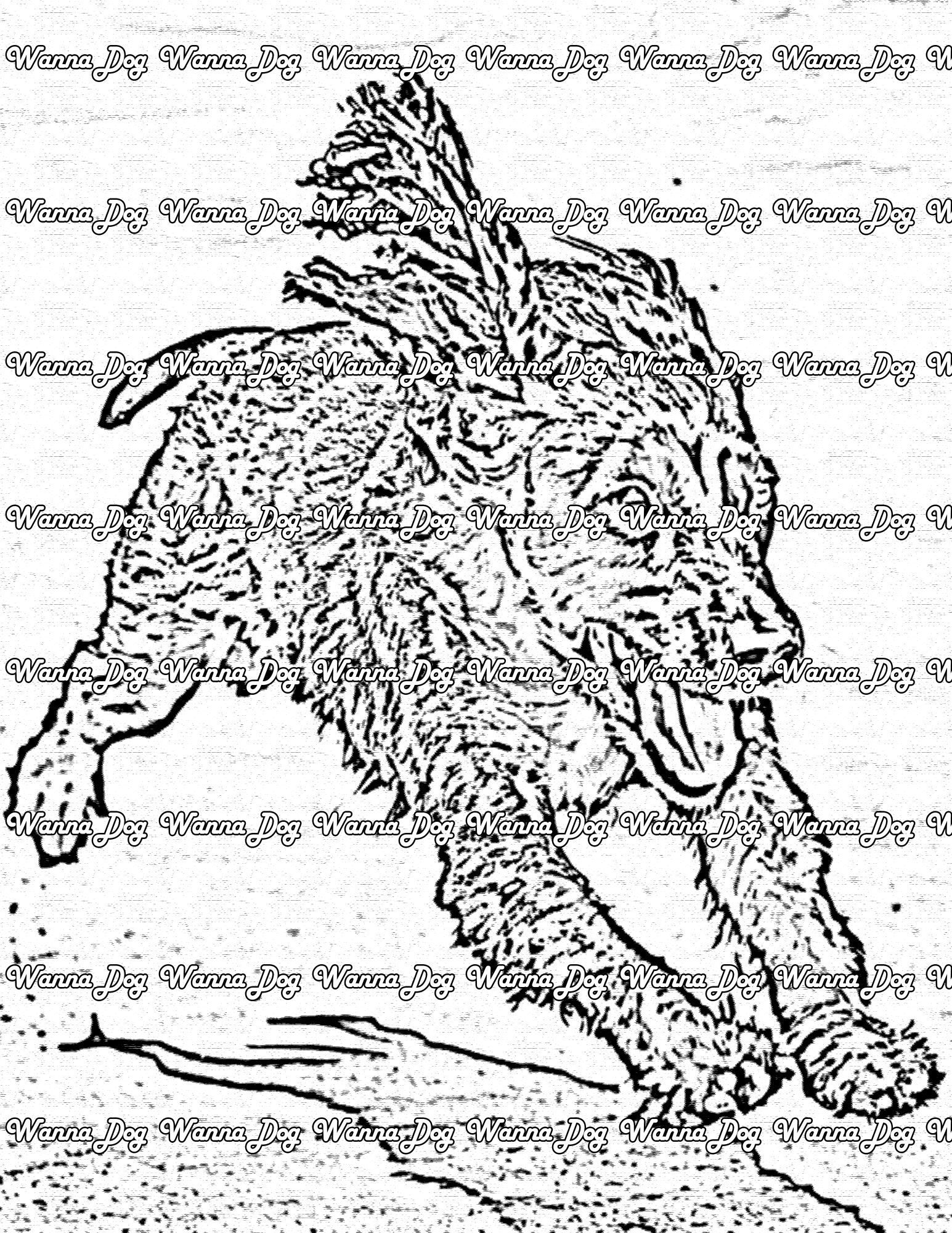Cocker Spaniel Coloring Pages of a Cocker Spaniel running