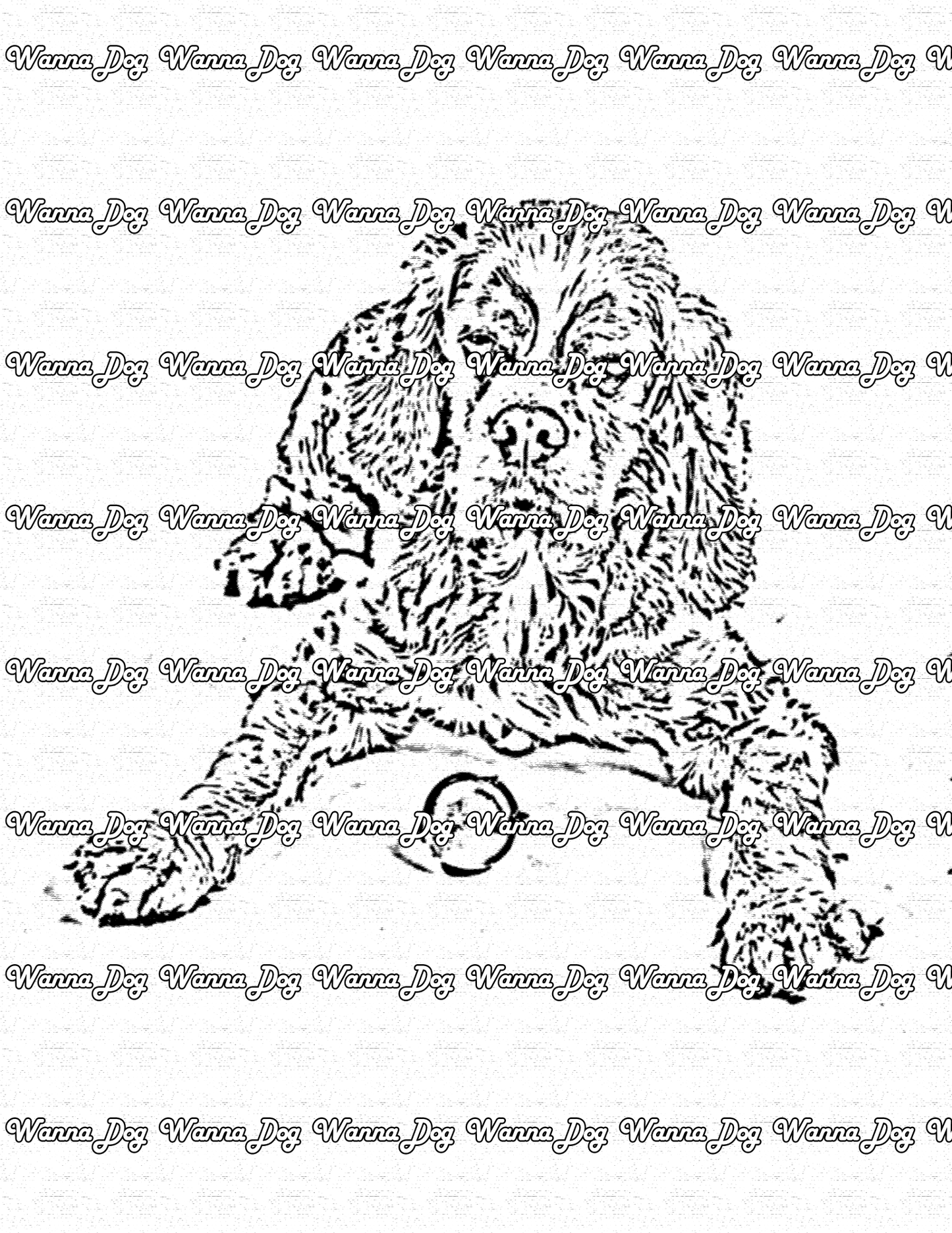 Cocker Spaniel Coloring Pages of a Cocker Spaniel laying down with a ball