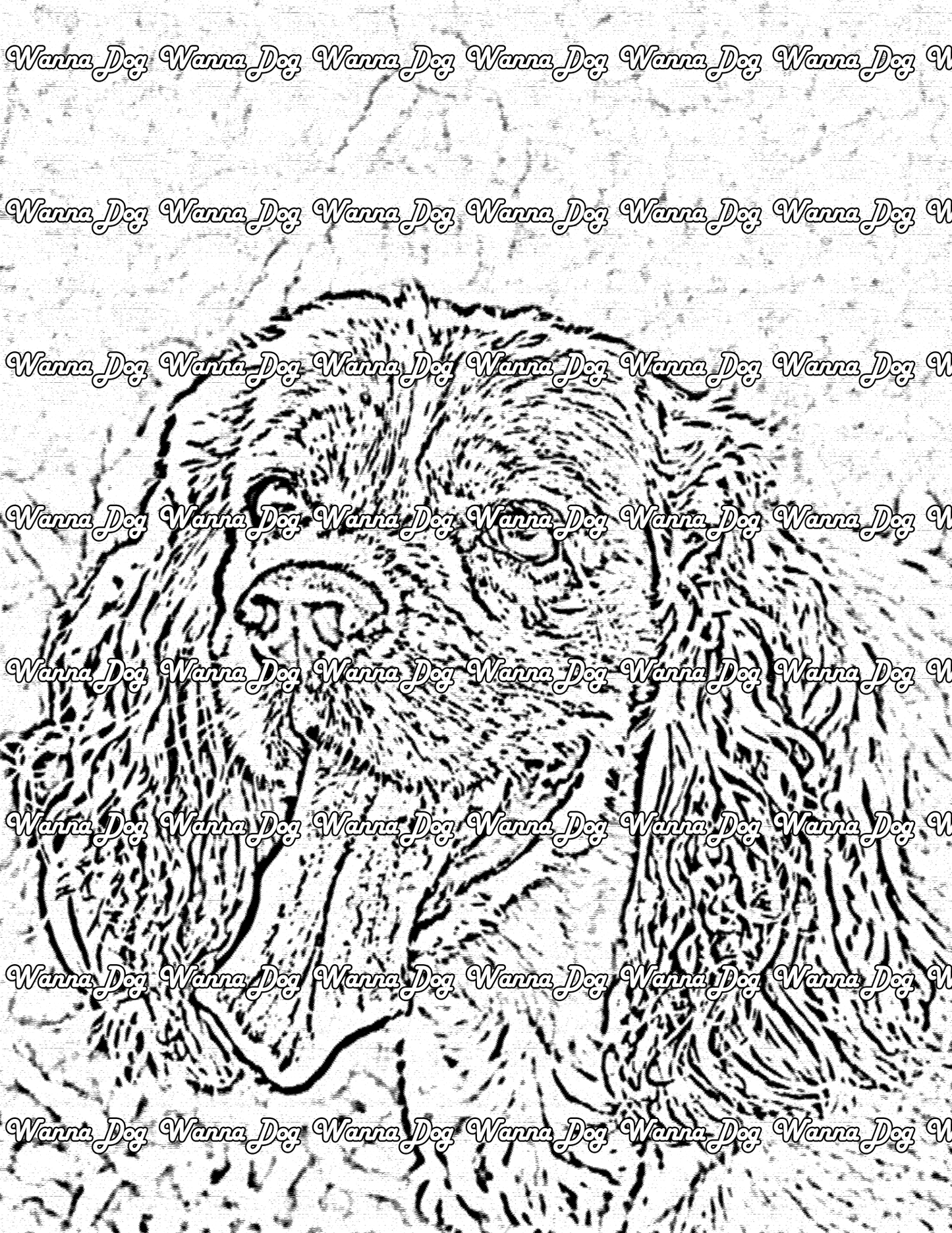 Cocker Spaniel Coloring Pages of a Cocker Spaniel close up on the grass with their tongue out