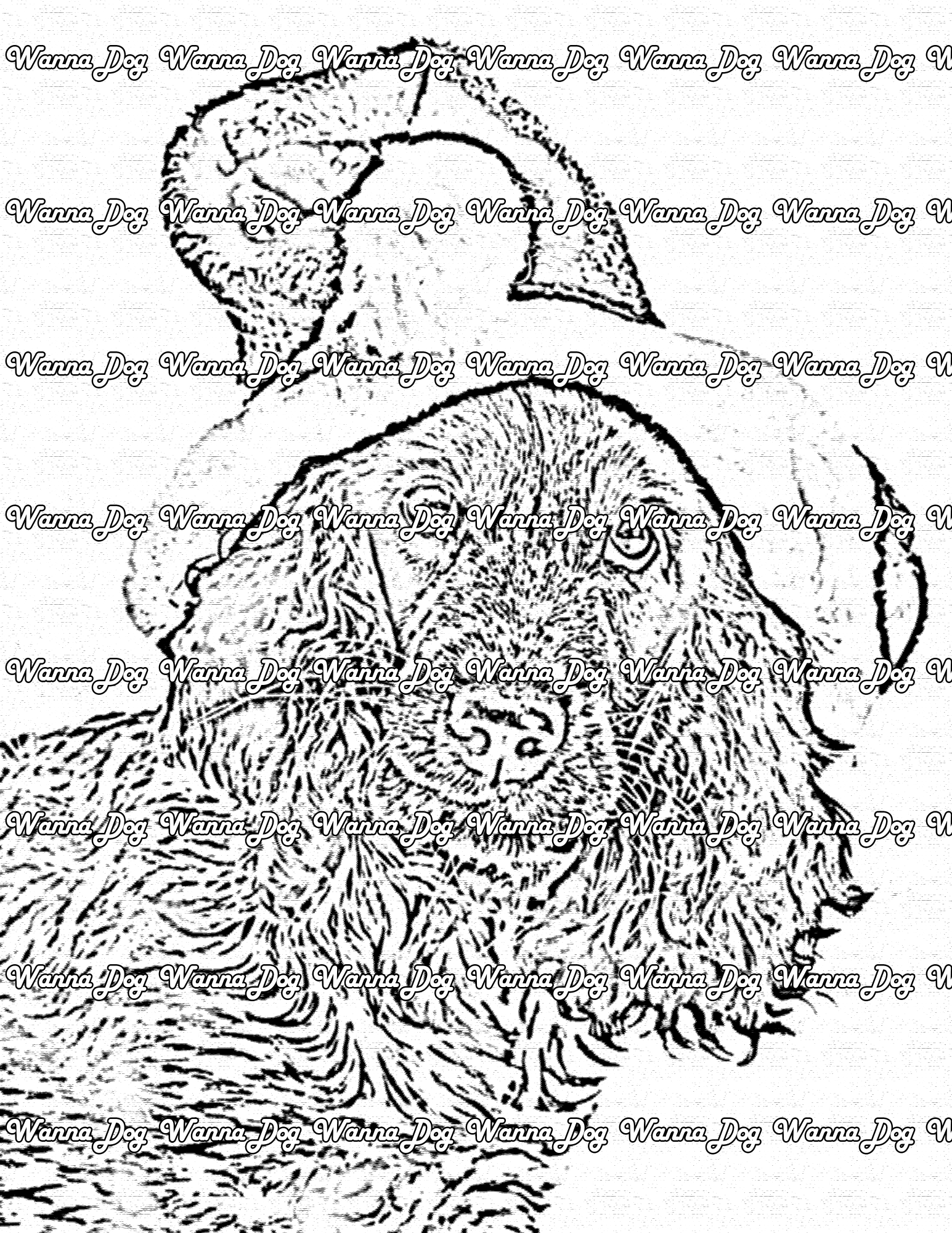 Cocker Spaniel Coloring Pages of a Cocker Spaniel with a santa hat