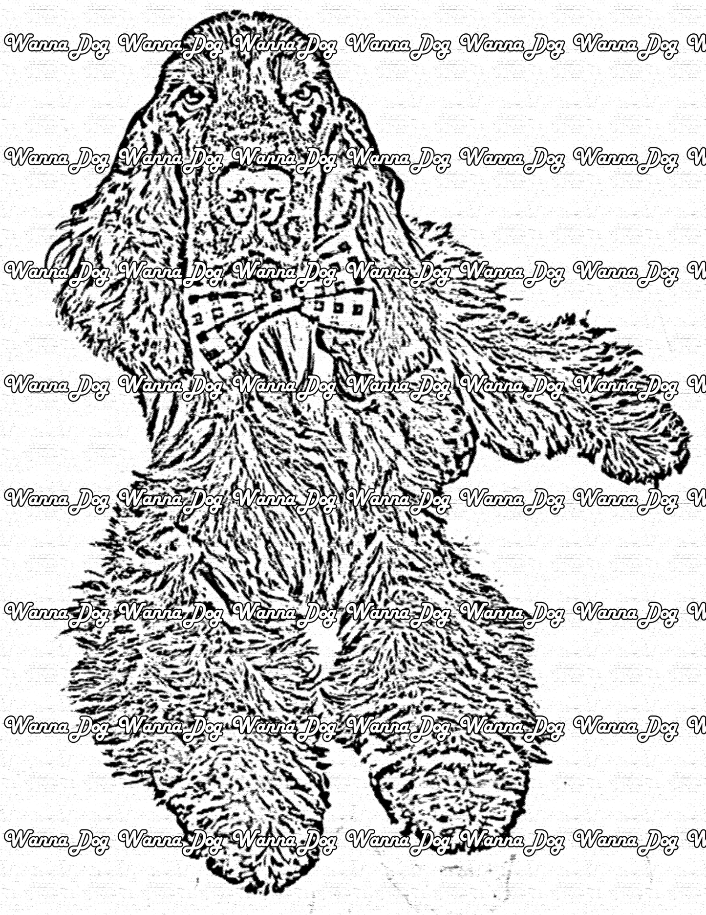 Cocker Spaniel Coloring Pages of a Cocker Spaniel with a bowtie