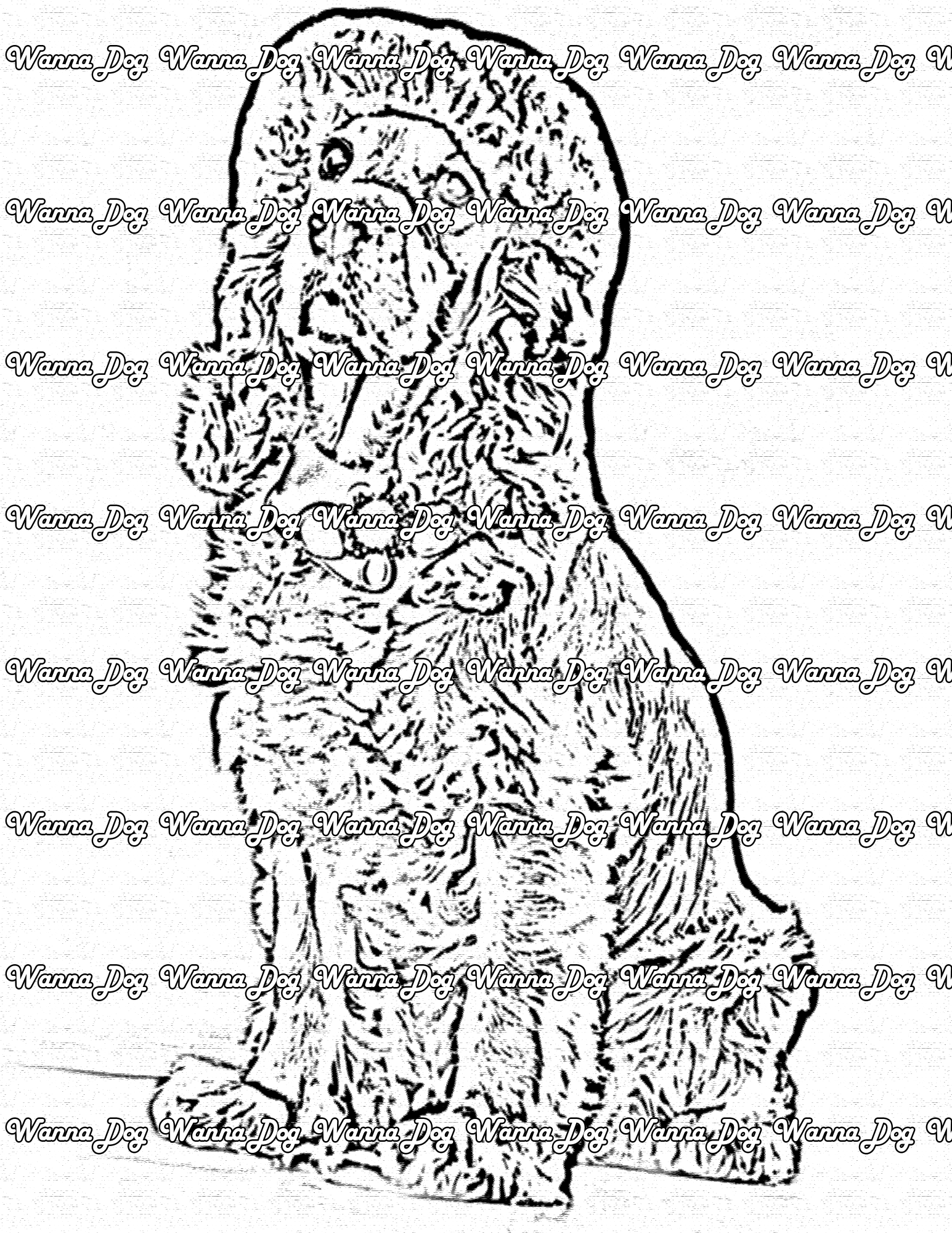 Cocker Spaniel Coloring Pages of a Cocker Spaniel wearing clothes