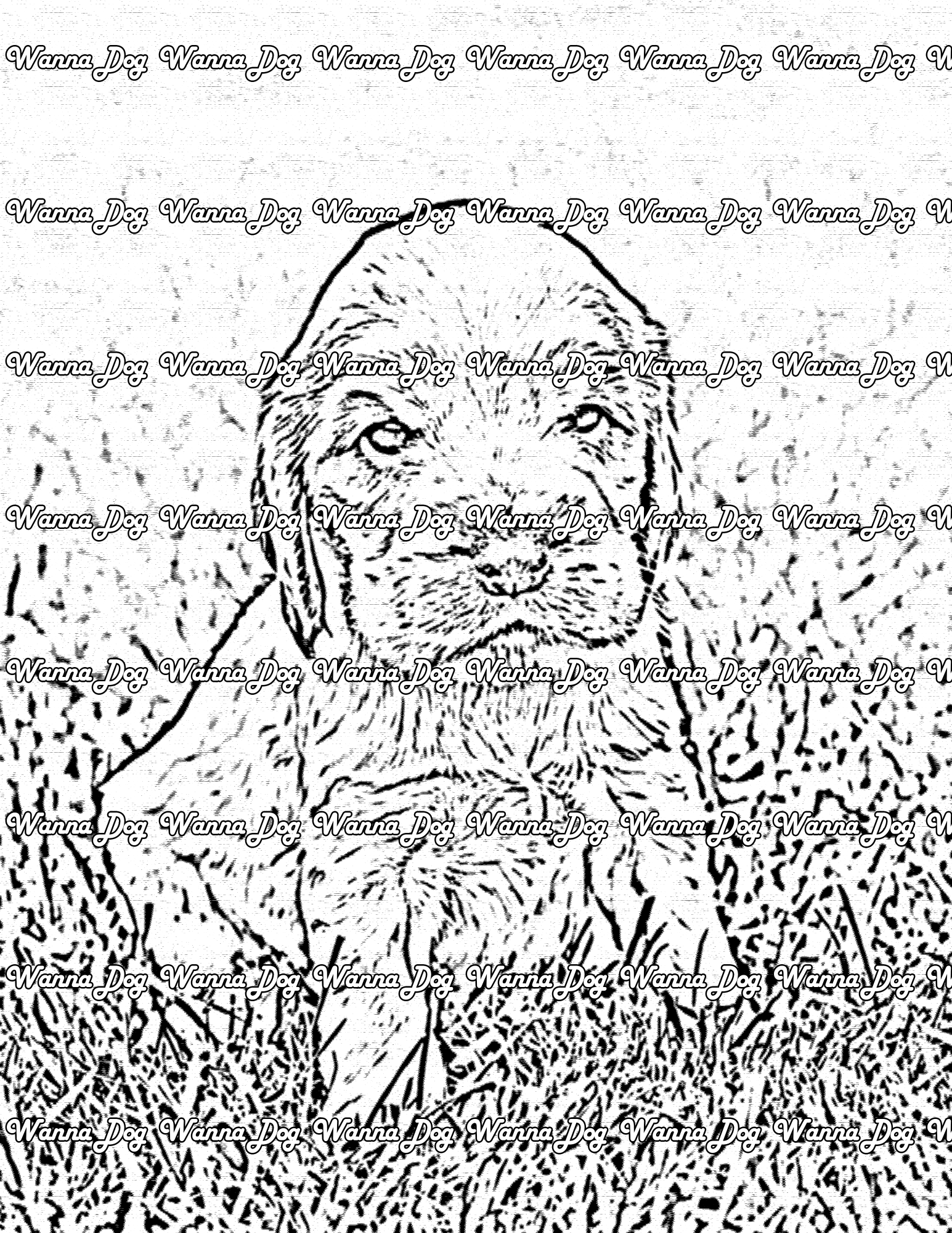 Cocker Spaniel Coloring Pages of a Cocker Spaniel puppy sitting in the grass