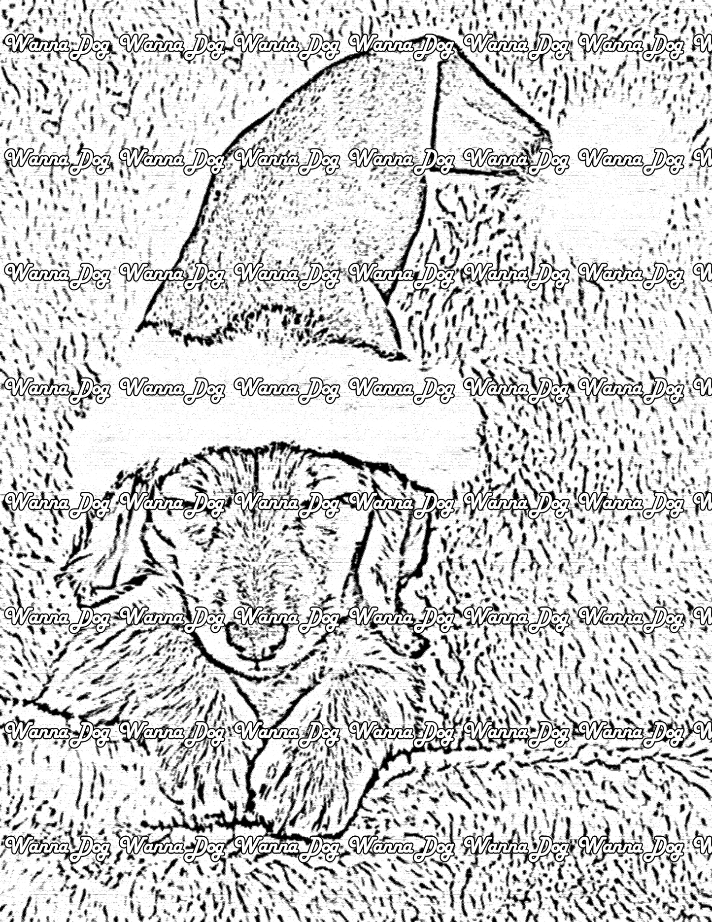 Dachshund Coloring Page of a Dachshund sleeping with a santa ha