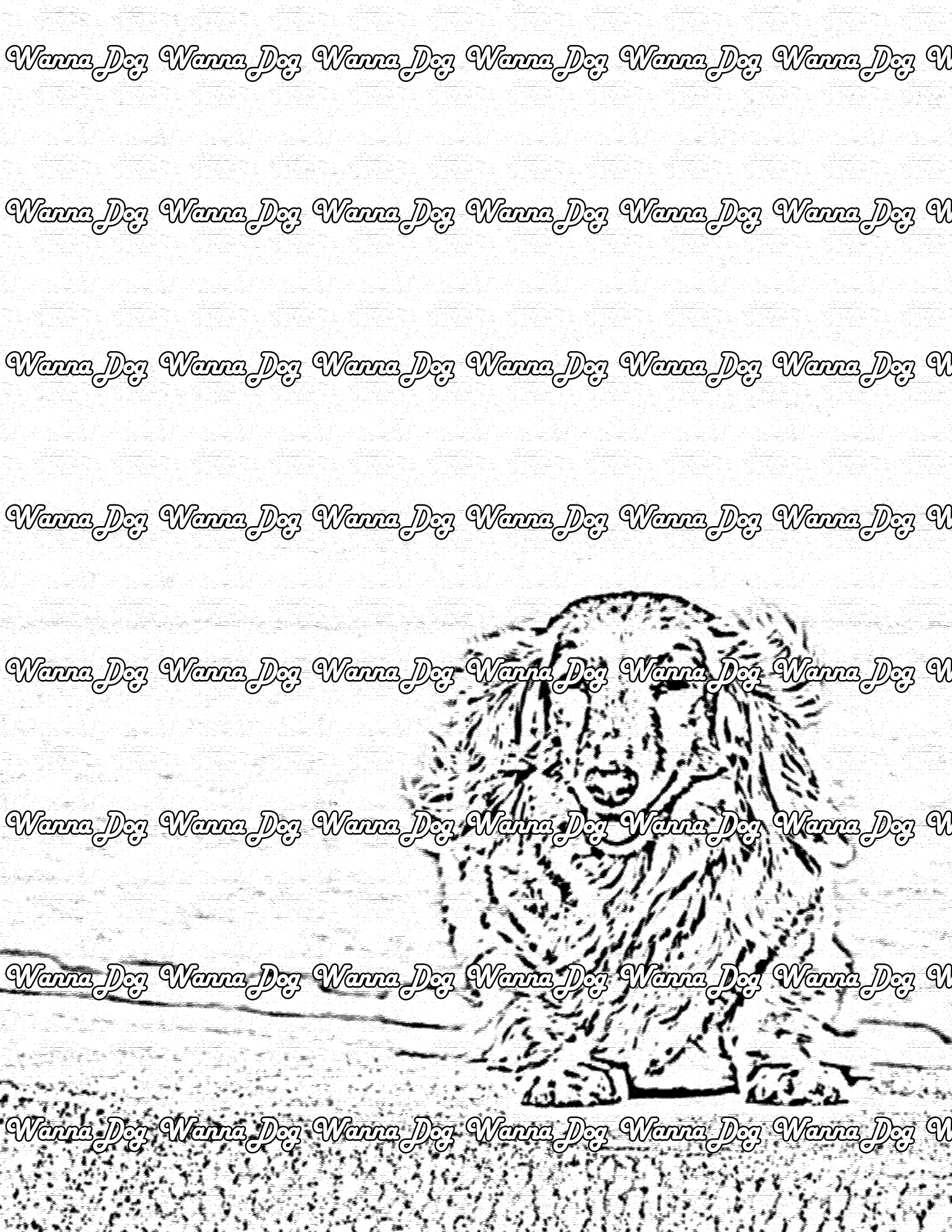 Dachshund Coloring Page of a Dachshund near the water