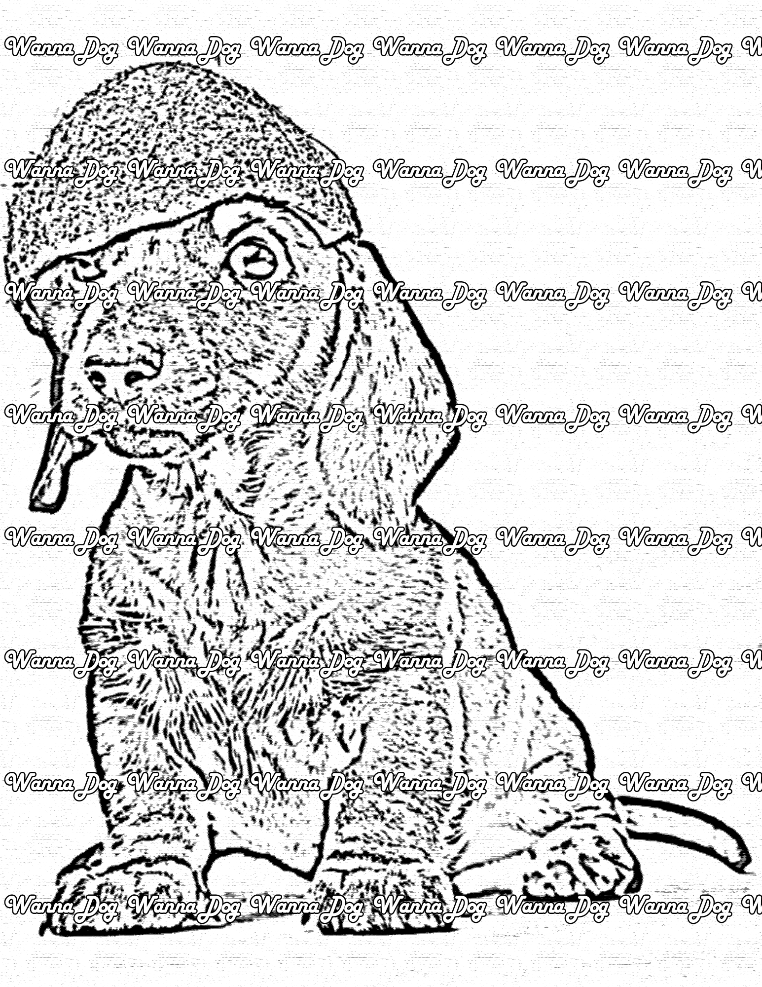Dachshund Coloring Page of a Dachshund with a coconut