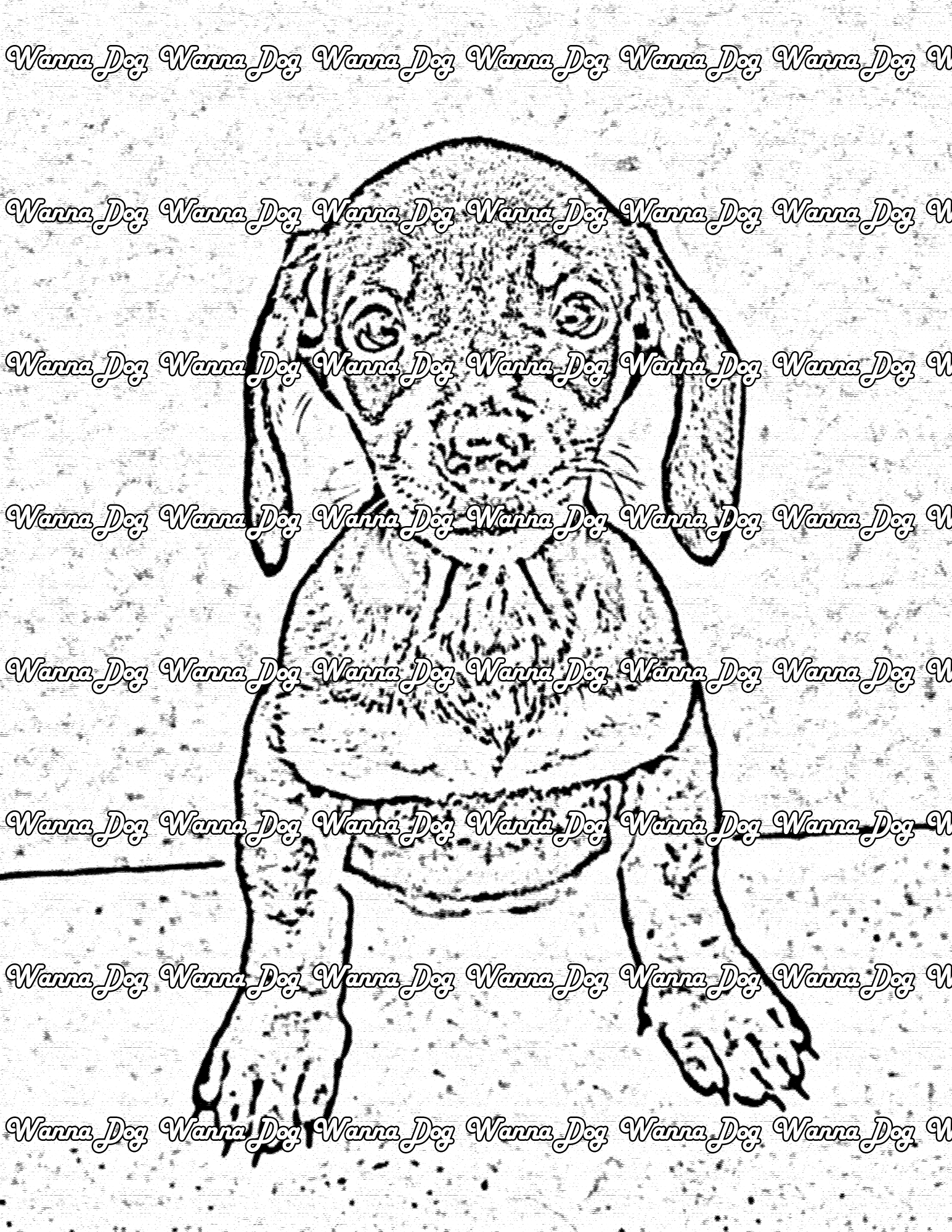Dachshund Coloring Page of a Dachshund posing