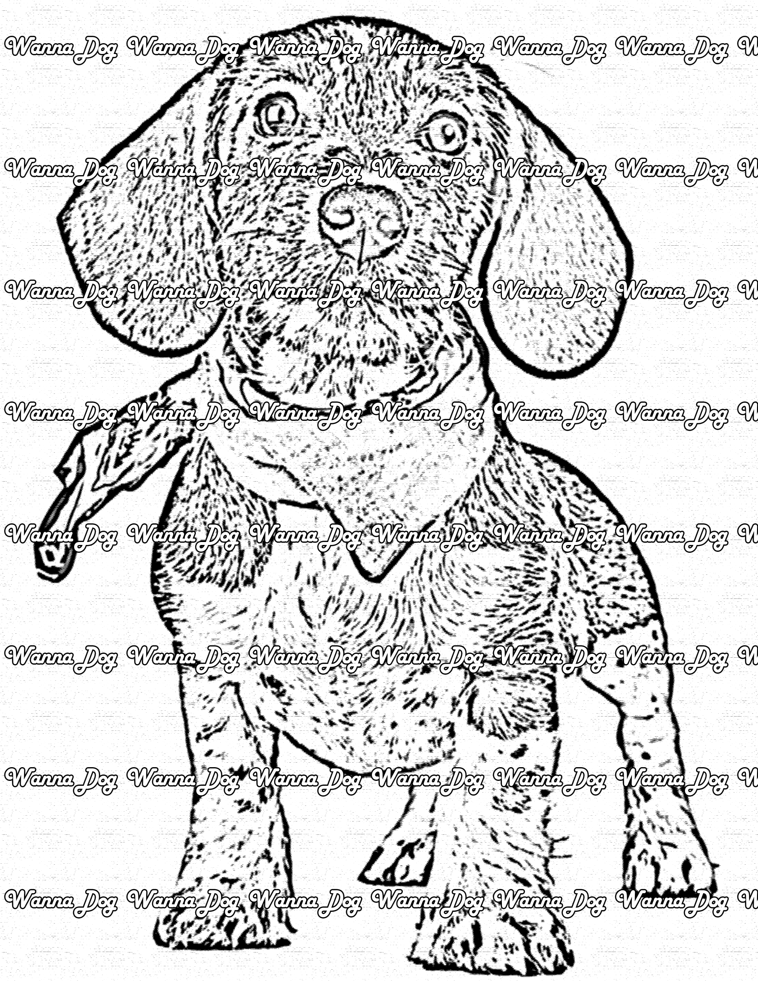 Dachshund Coloring Page of a puppy Dachshund posing