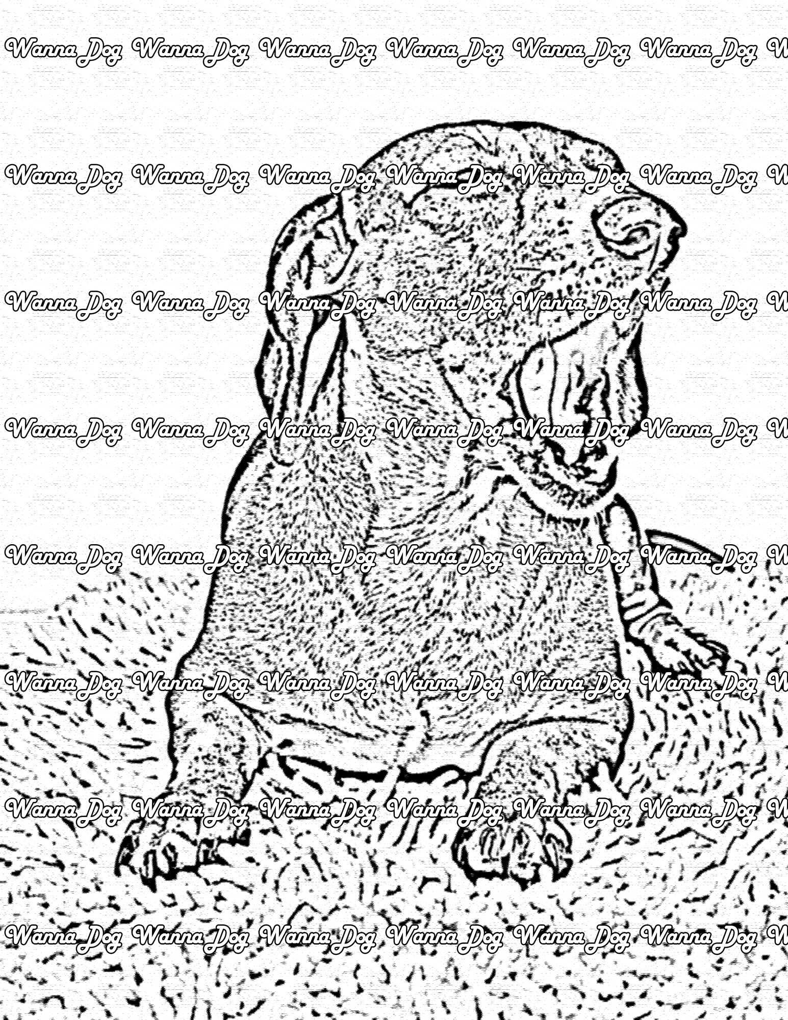 Dachshund Coloring Page of a Dachshund yawning