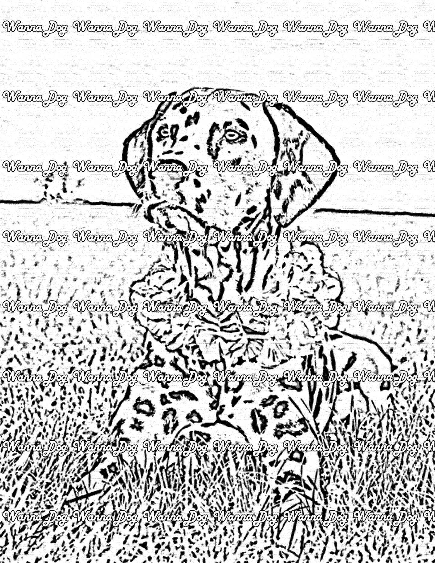 Dalmatian Coloring Page of a Dalmatian sitting down in grass with a flower necklace