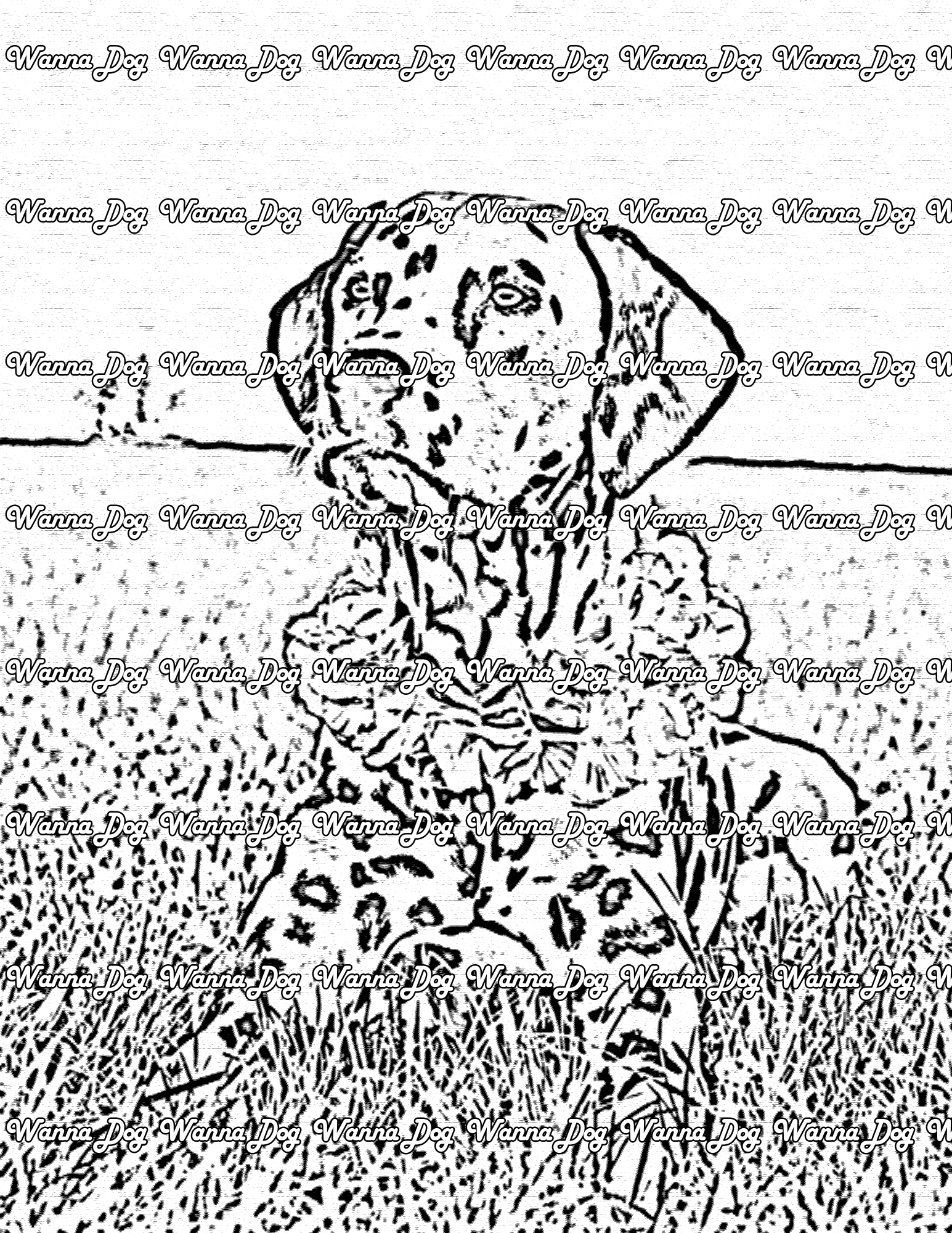 Dalmatian Coloring Page of a Dalmatian sitting down in grass with a flower necklace