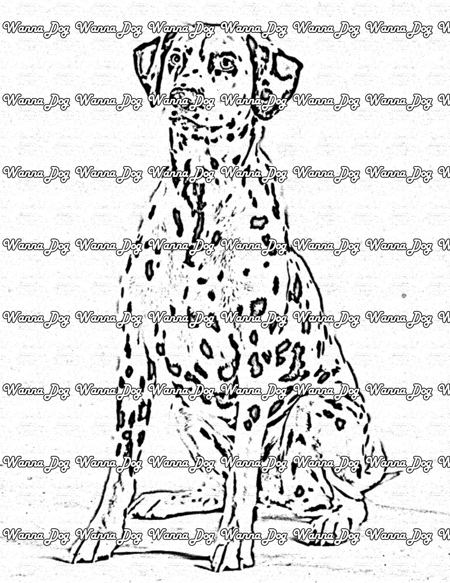 Dalmatian Coloring Page of an excited Dalmatian