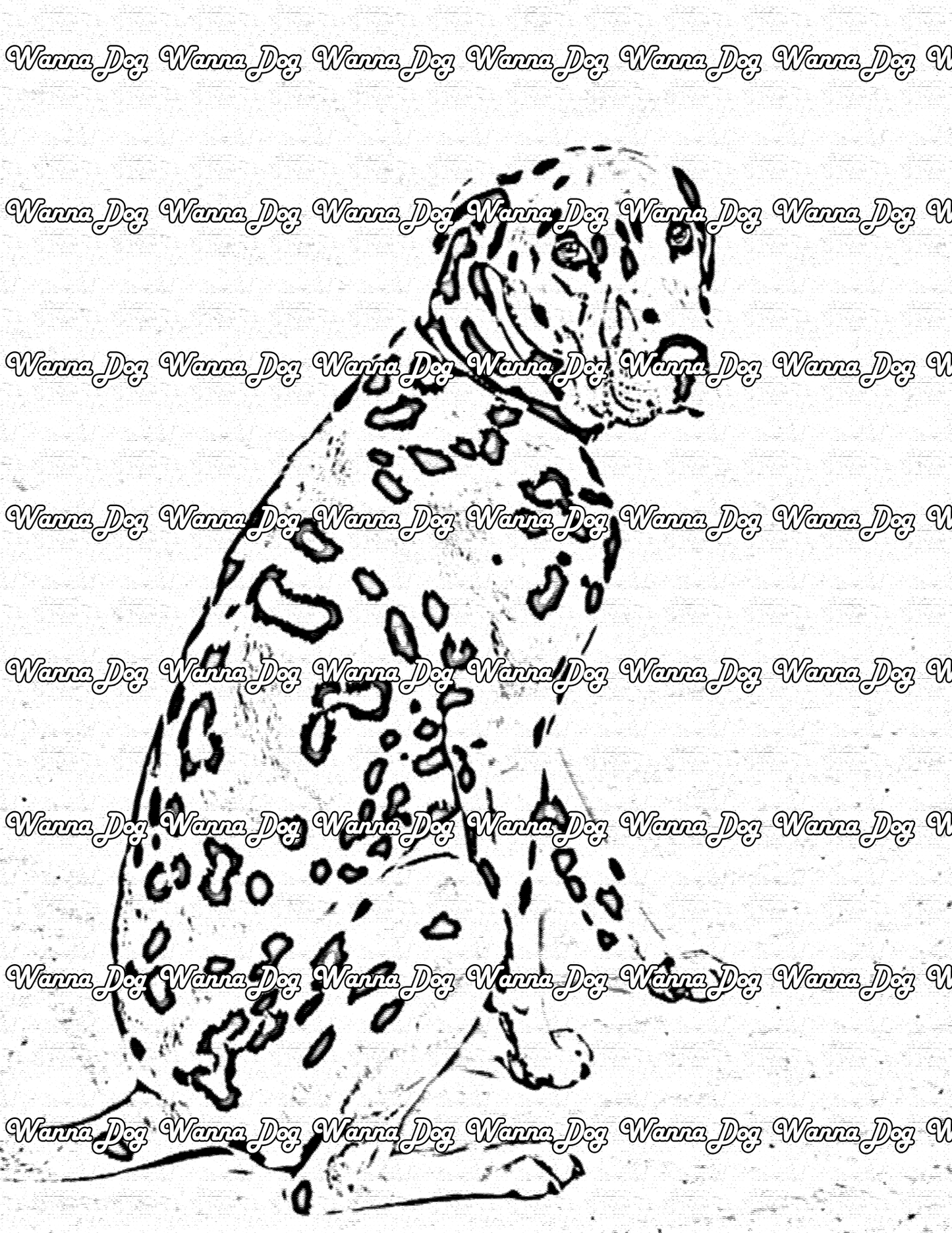 Dalmatian Coloring Page of a Dalmatian posing from the side