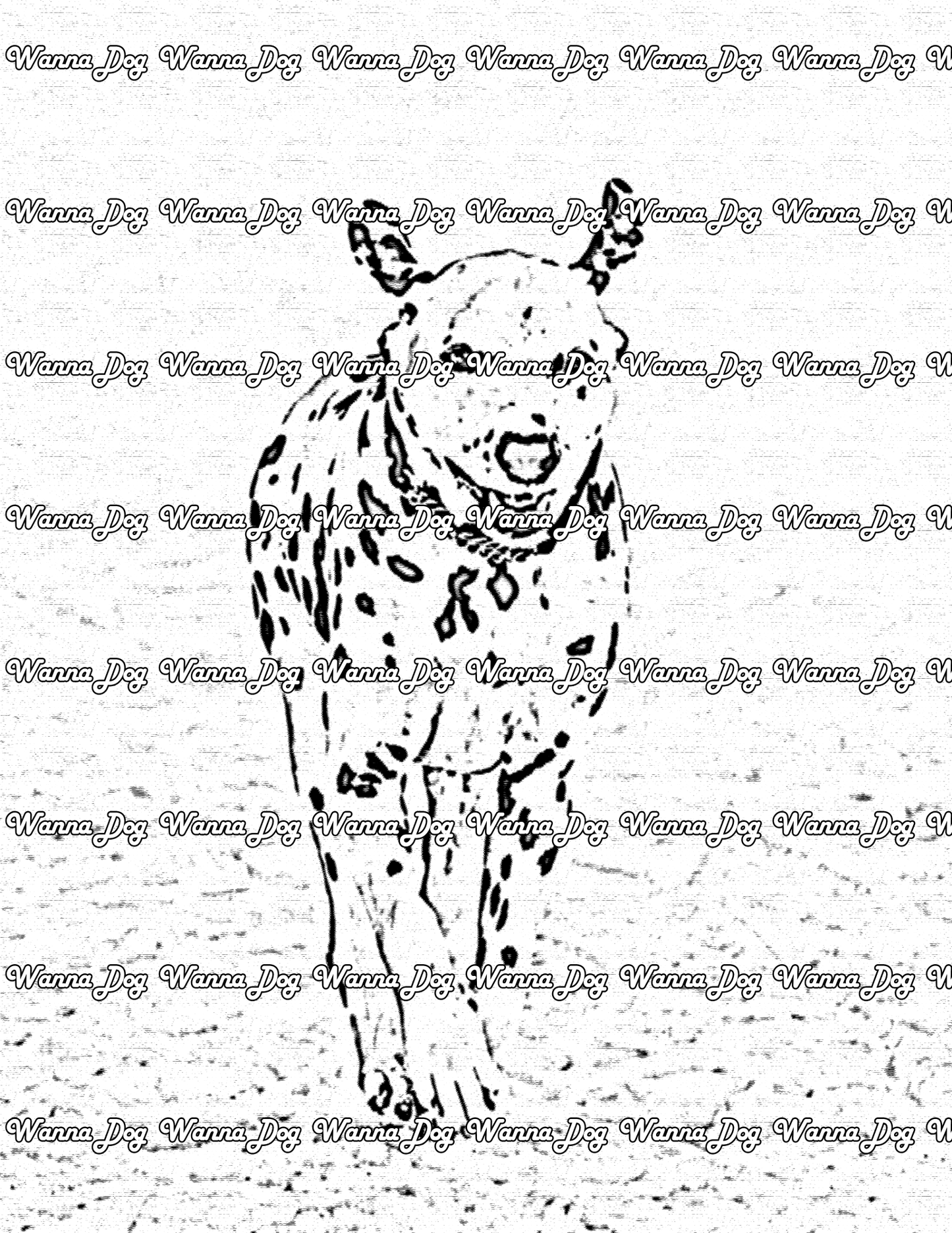 Dalmatian Coloring Page of a Dalmatian running in the snow with their ears up