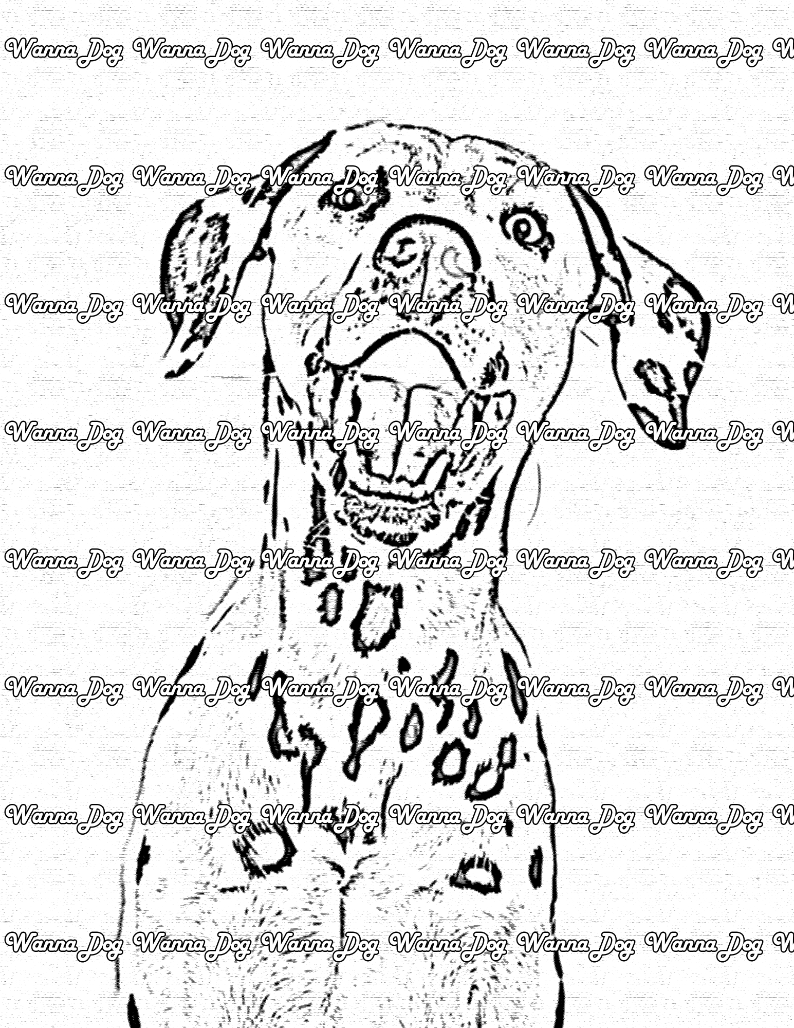 Dalmatian Coloring Page of a Dalmatian smiling with their tongue out