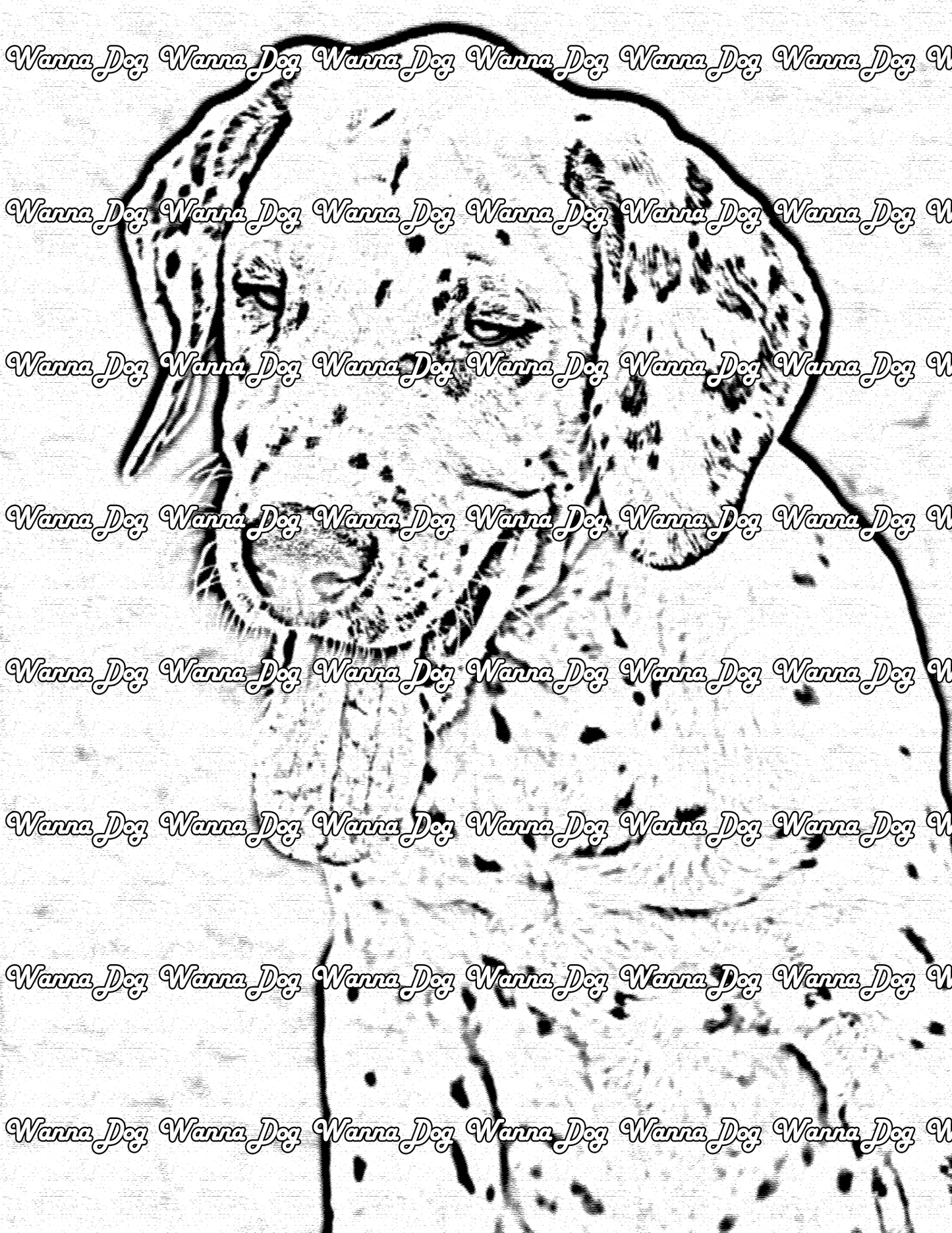 Dalmatian Puppy Coloring Page of a Dalmatian Puppy outside with their tongue out