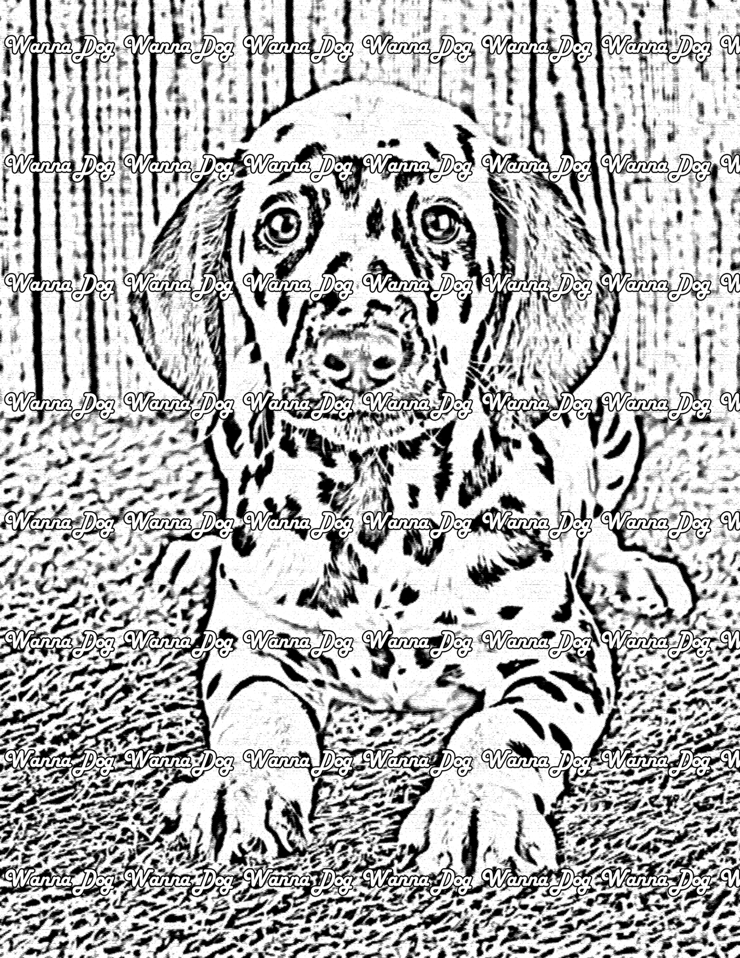 Dalmatian Puppy Coloring Page of a Dalmatian Puppy laying down outside on the grass near a fence