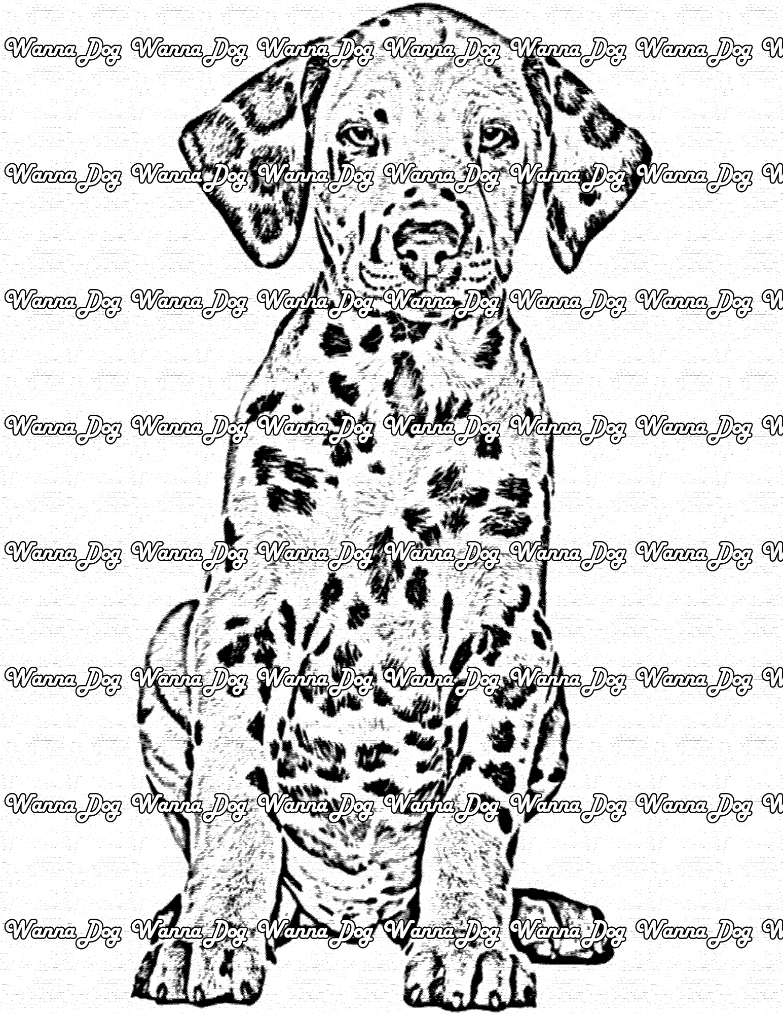 Dalmatian Puppy Coloring Page of a Dalmatian Puppy sitting and posing