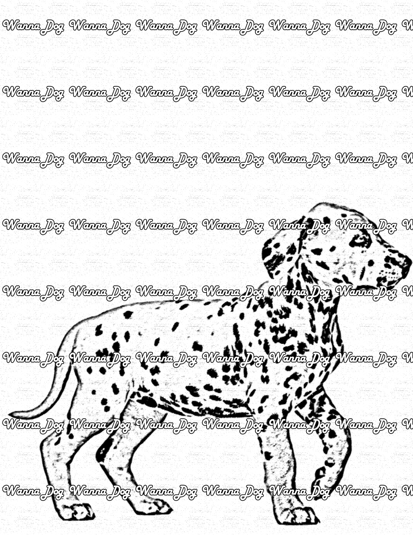 Dalmatian Puppy Coloring Page of a Dalmatian Puppy side view