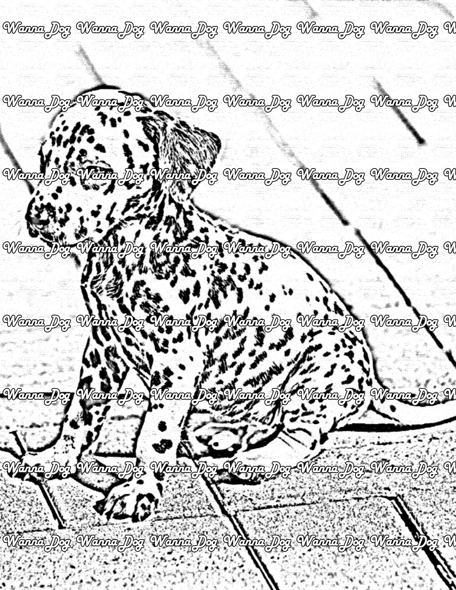 Dalmatian Puppy Coloring Page of a Dalmatian Puppy sitting outside