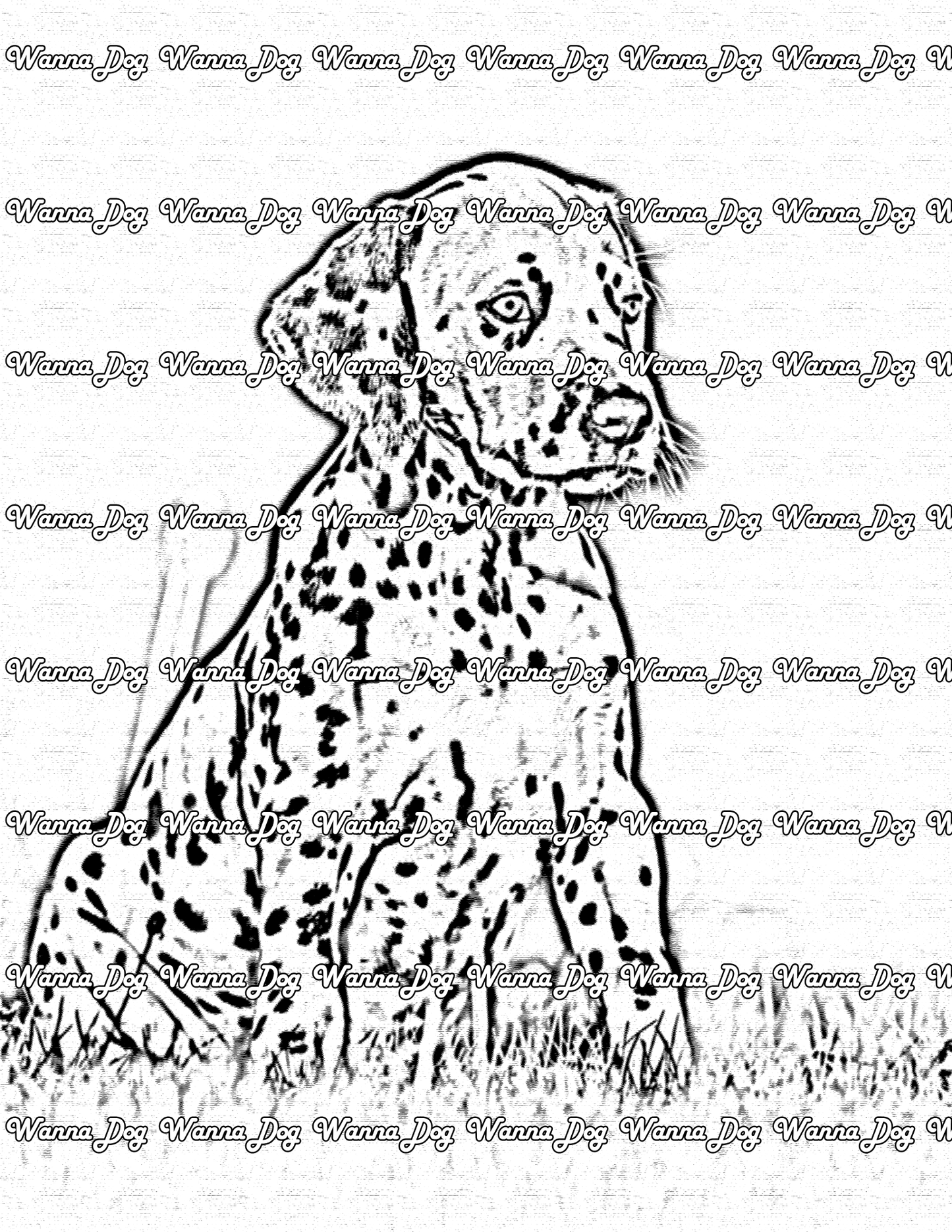 Dalmatian Puppy Coloring Page of a Dalmatian Puppy smiling