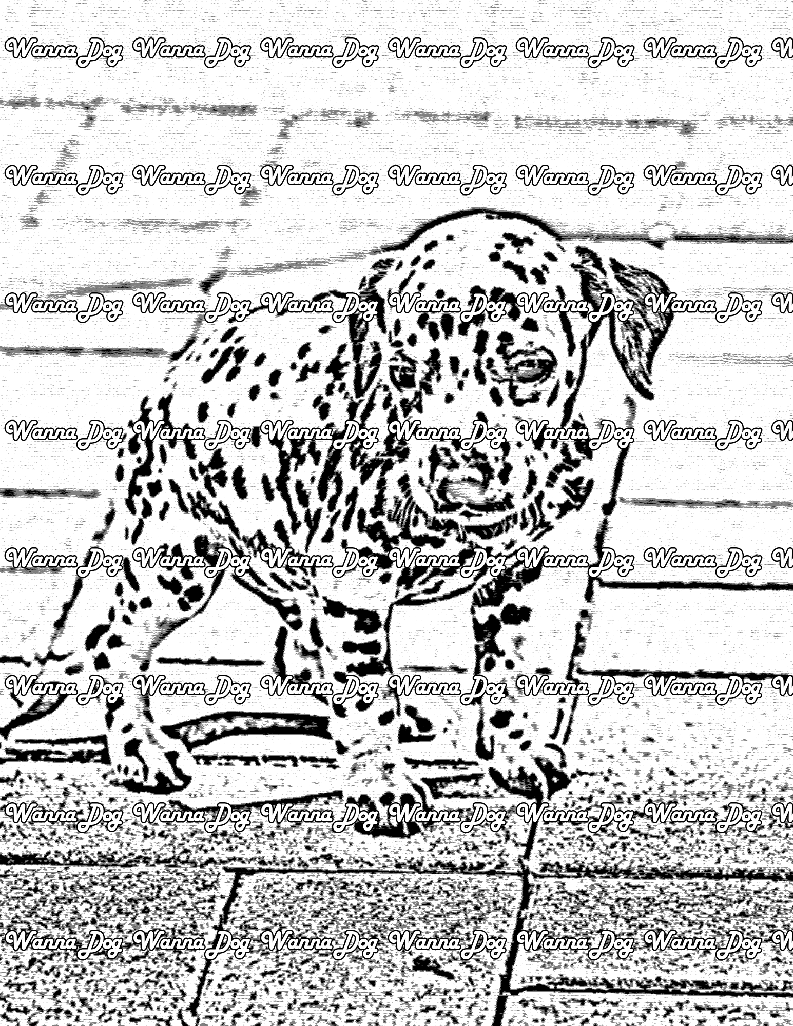 Dalmatian Puppy Coloring Page of a Dalmatian Puppy standing outside