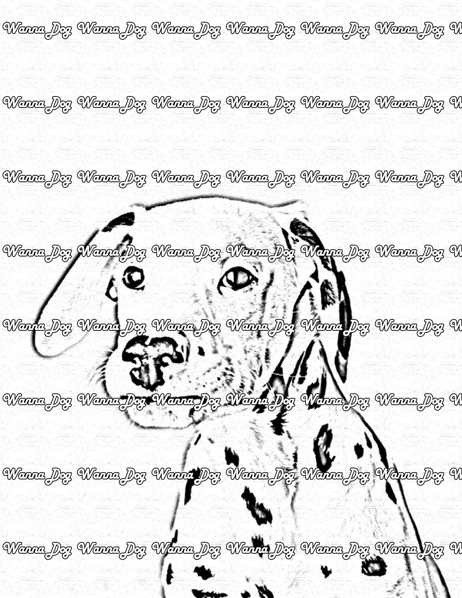 Dalmatian Puppy Coloring Page of a Dalmatian Puppy looking away from the camera