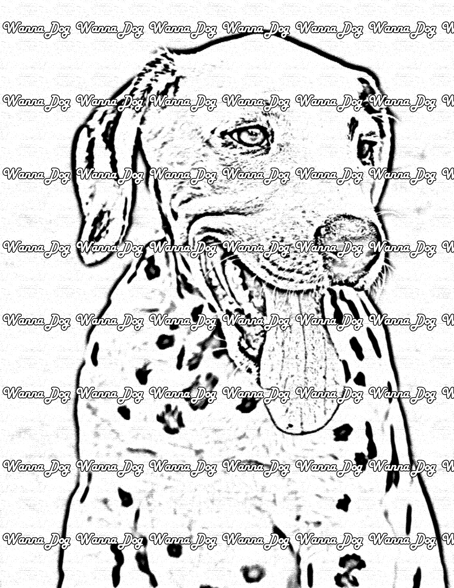 Dalmatian Puppy Coloring Page of a Dalmatian Puppy with their tongue out