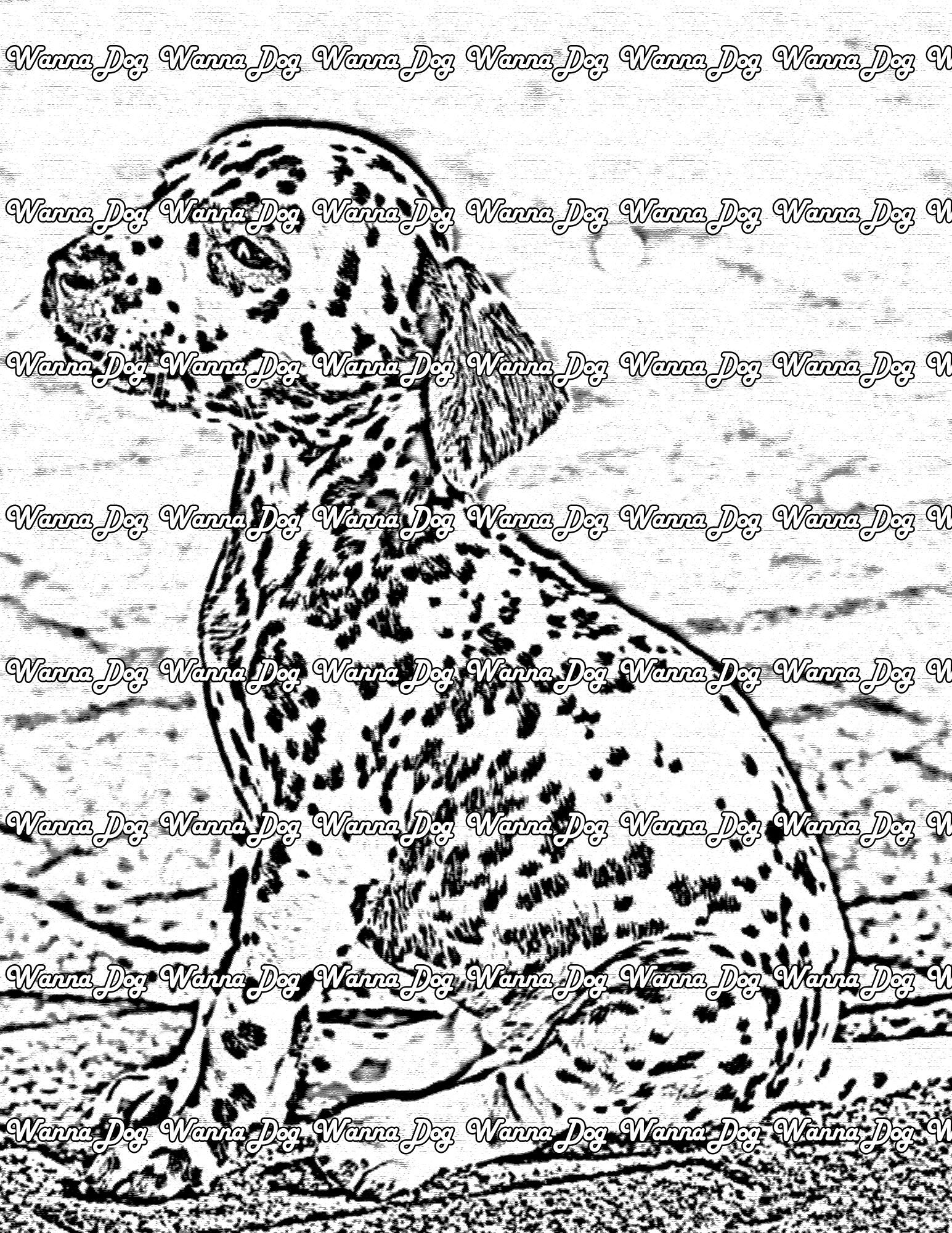 Dalmatian Puppy Coloring Page of a Dalmatian Puppy posing outside