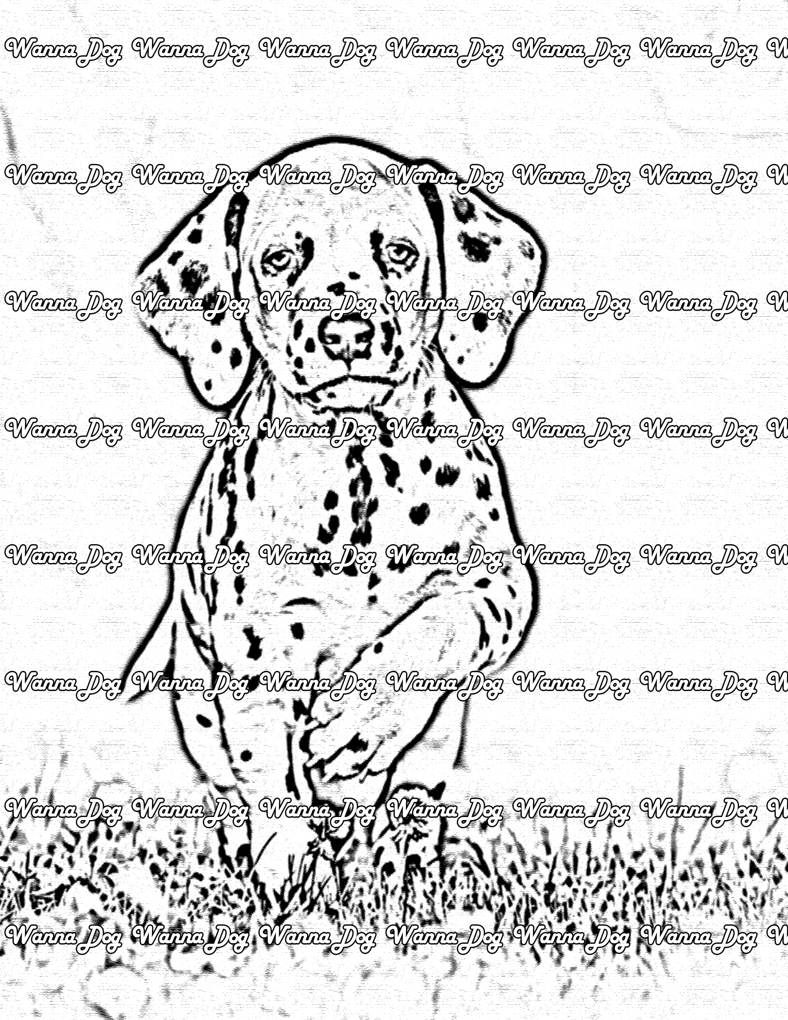 Dalmatian Puppy Coloring Page of a Dalmatian Puppy walking in the grass