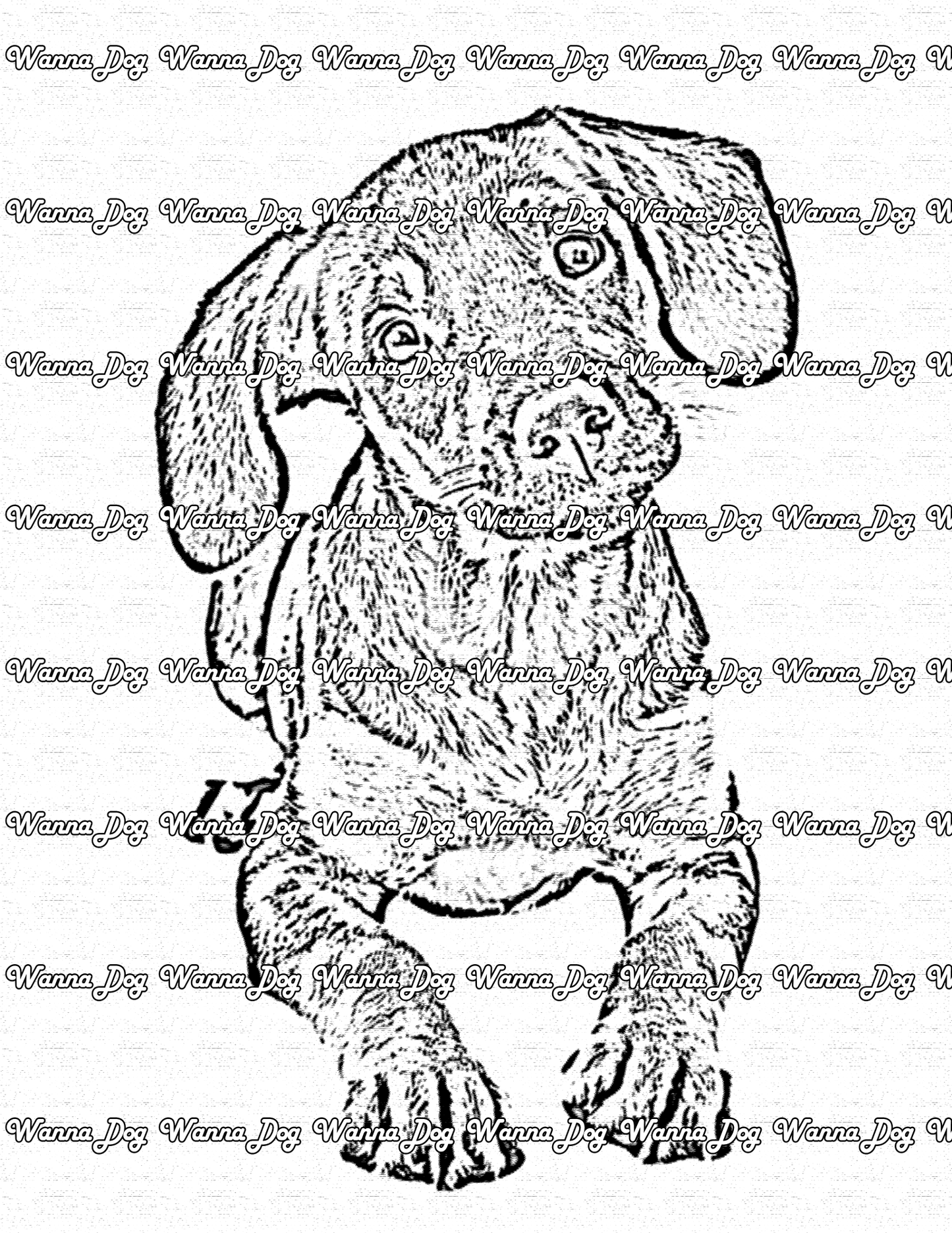 Doberman Coloring Page of a Doberman puppy sitting and posing