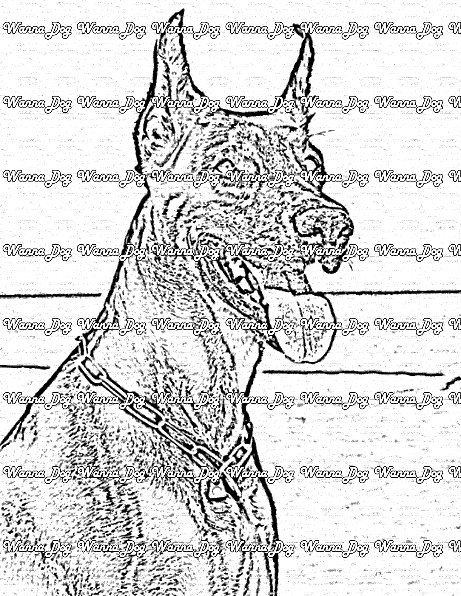 Doberman Coloring Page of a Doberman with their tongue hanging out and smiling