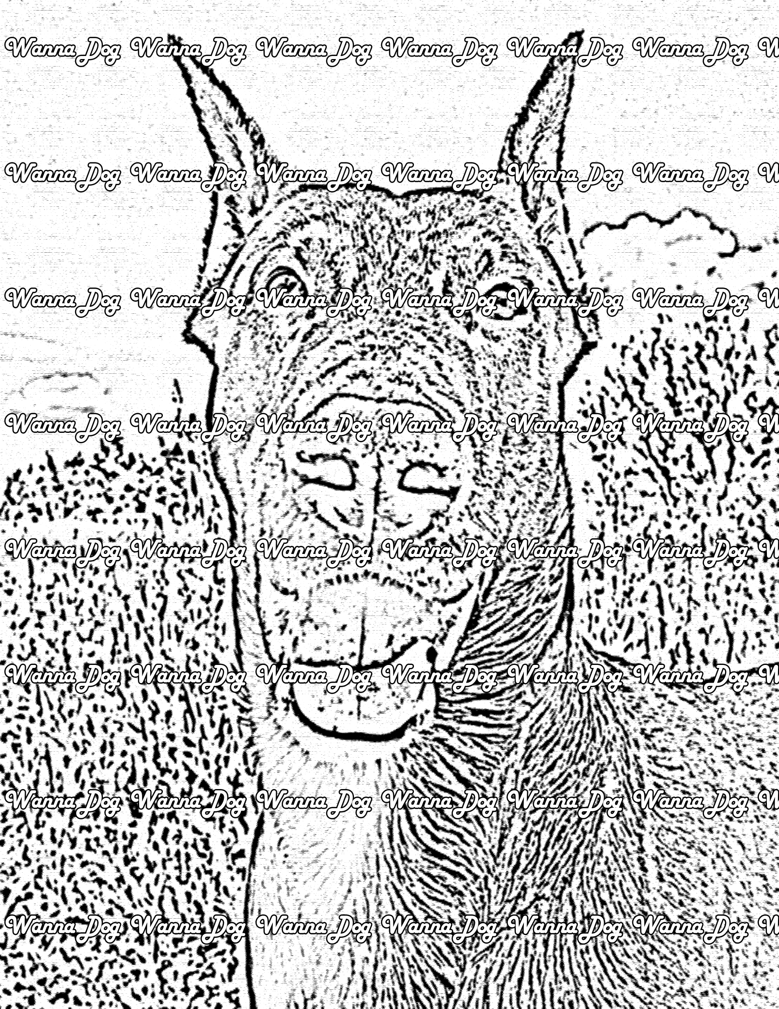 Doberman Coloring Page of a Doberman close up, outside, with their tongue out