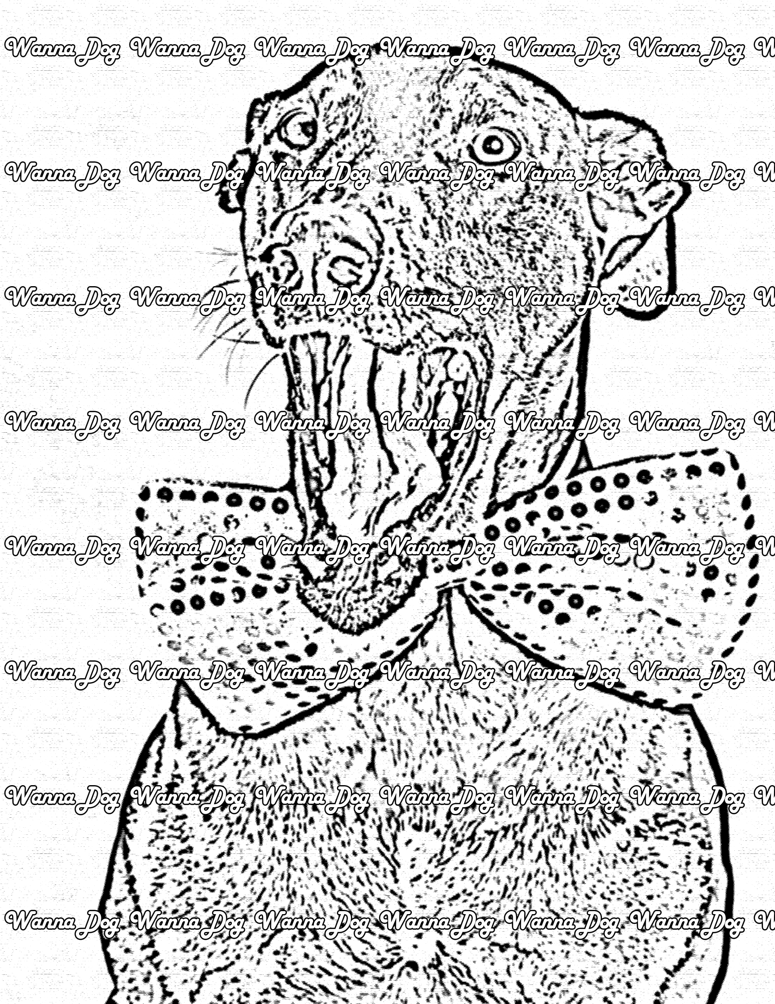 Doberman Coloring Page of a Doberman in a bowtie
