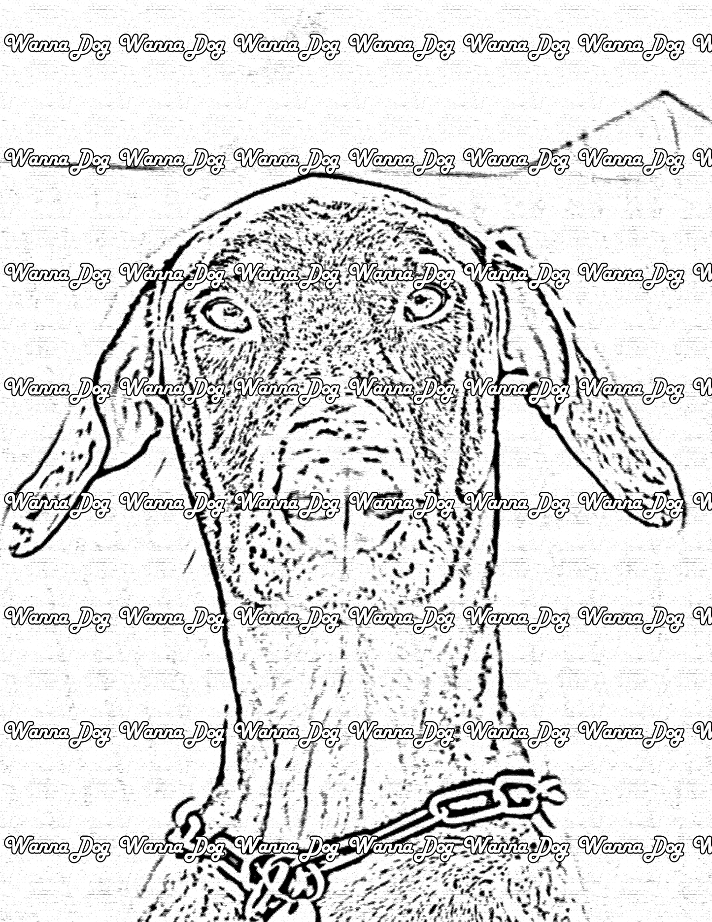 Doberman Coloring Page of a Doberman posing for the camera