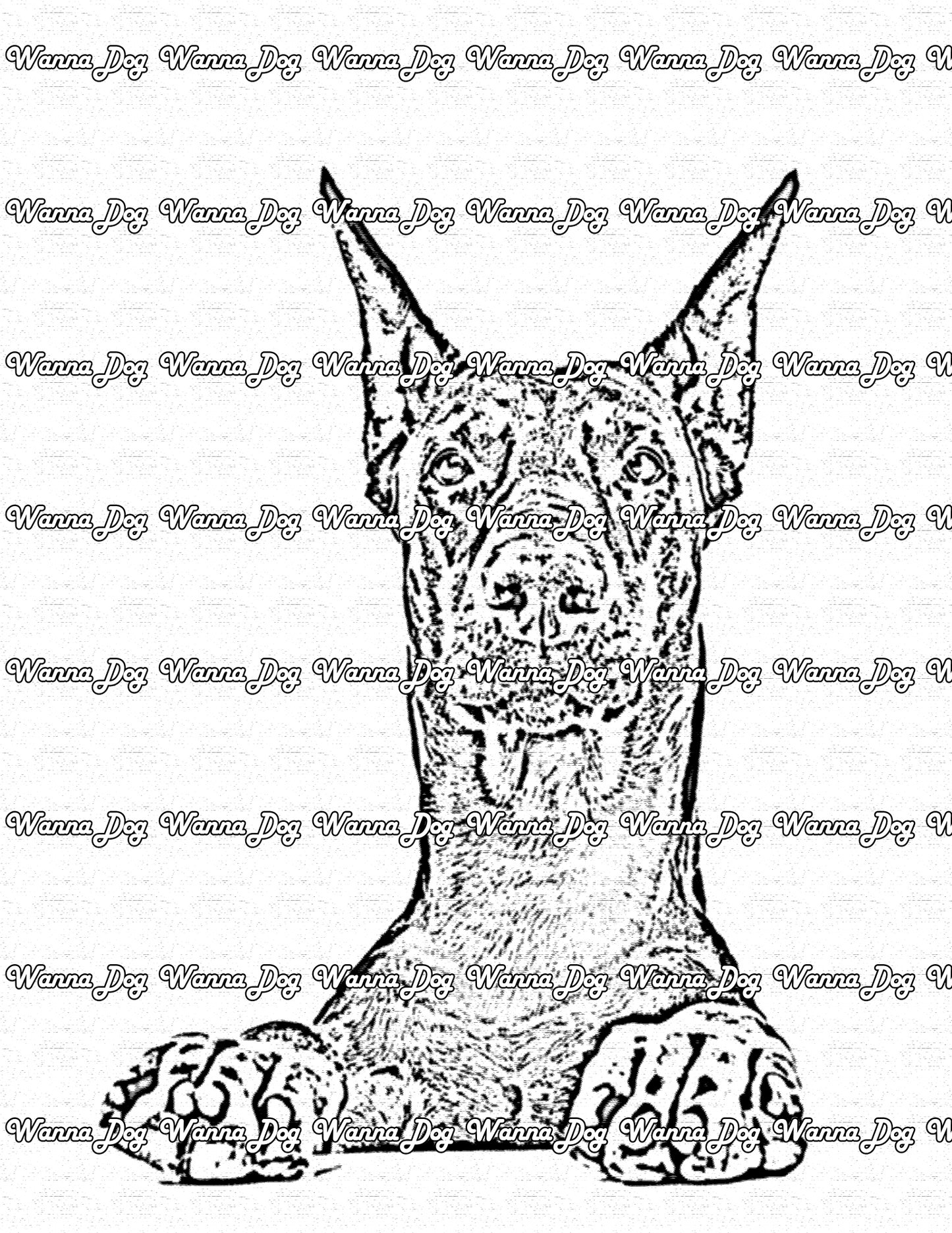 Doberman Coloring Page of a Doberman waiting for a treat