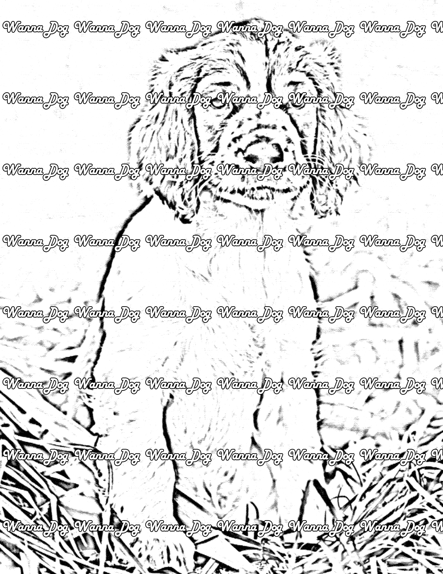 English Springer Spaniel Coloring Page of a English Springer Spaniel puppy sitting in grass