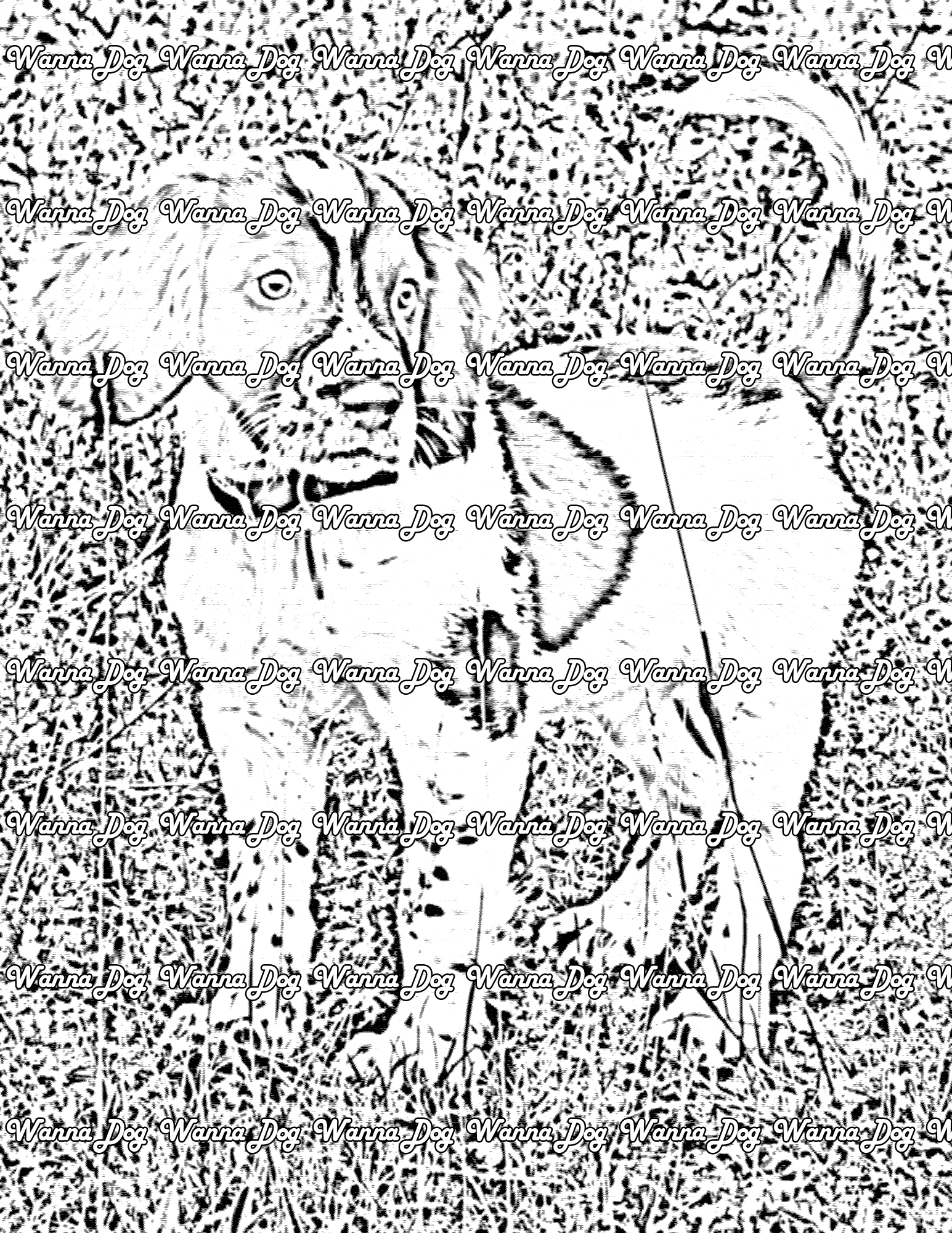 English Springer Spaniel Coloring Page of a English Springer Spaniel puppy standing in a field