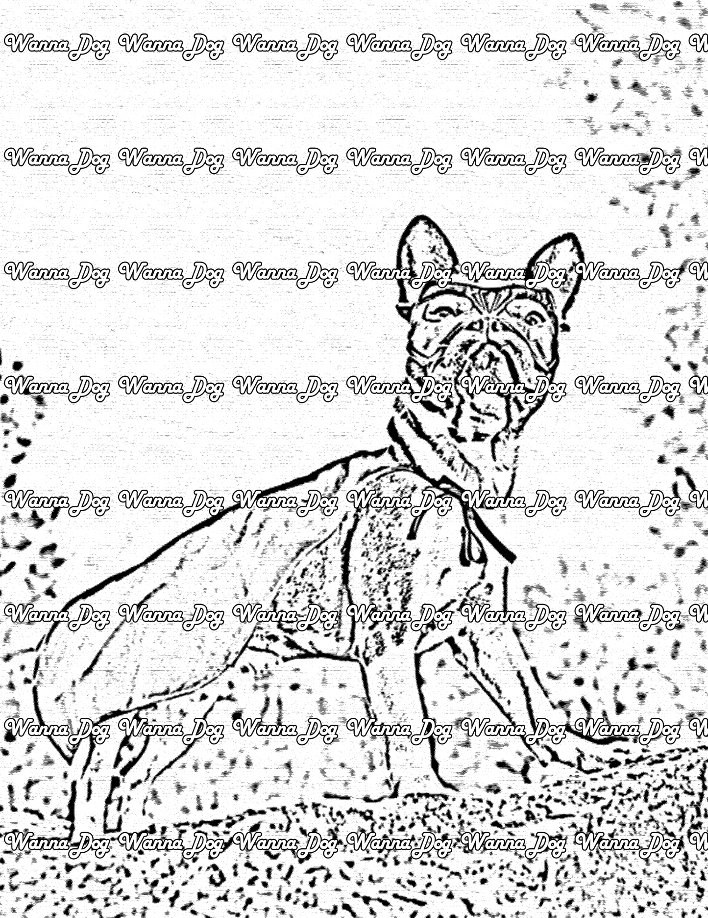 Holiday Dog Coloring Pages