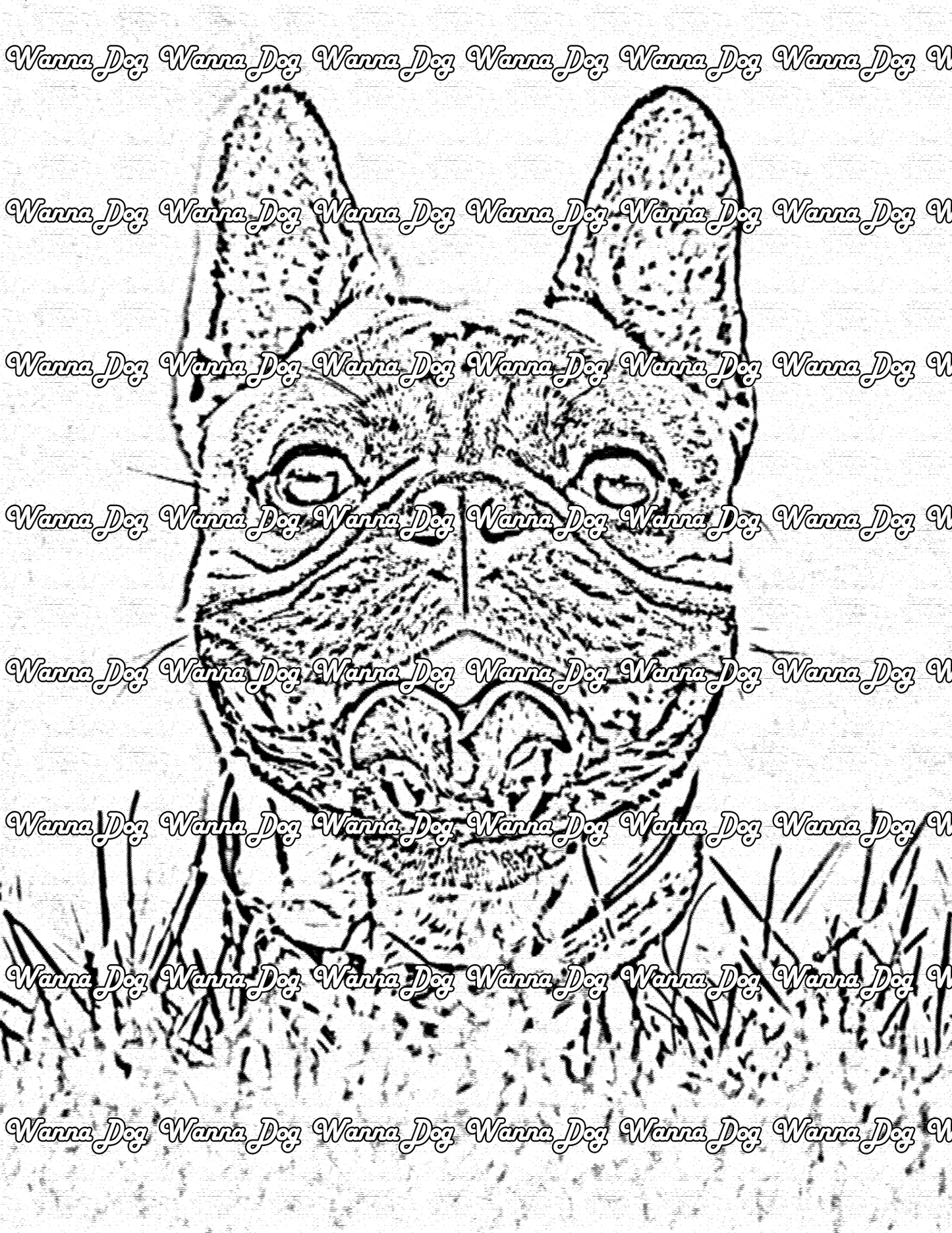 French Bulldog Coloring Page of a French Bulldog with their head popping their head up
