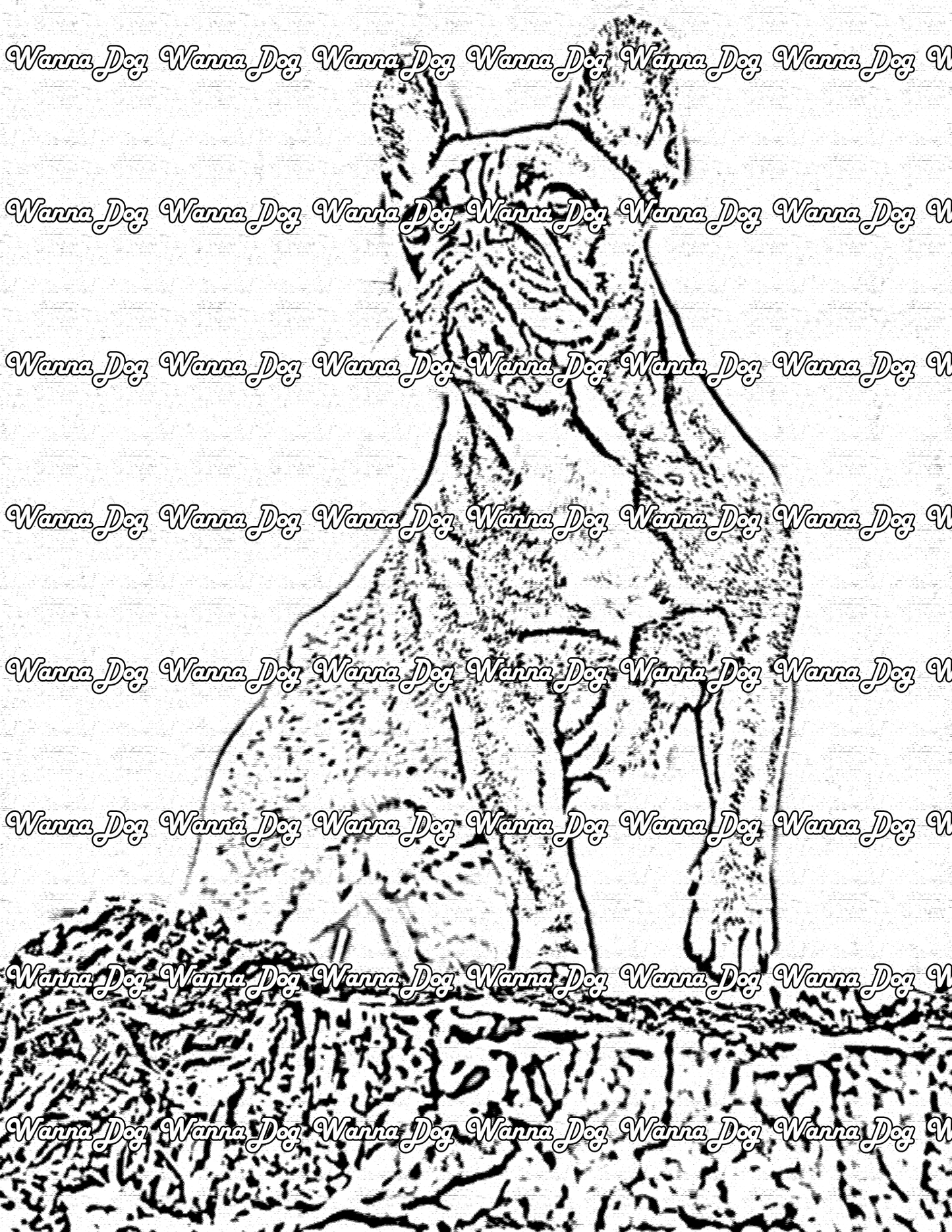 French Bulldog Coloring Page of a French Bulldog in nature