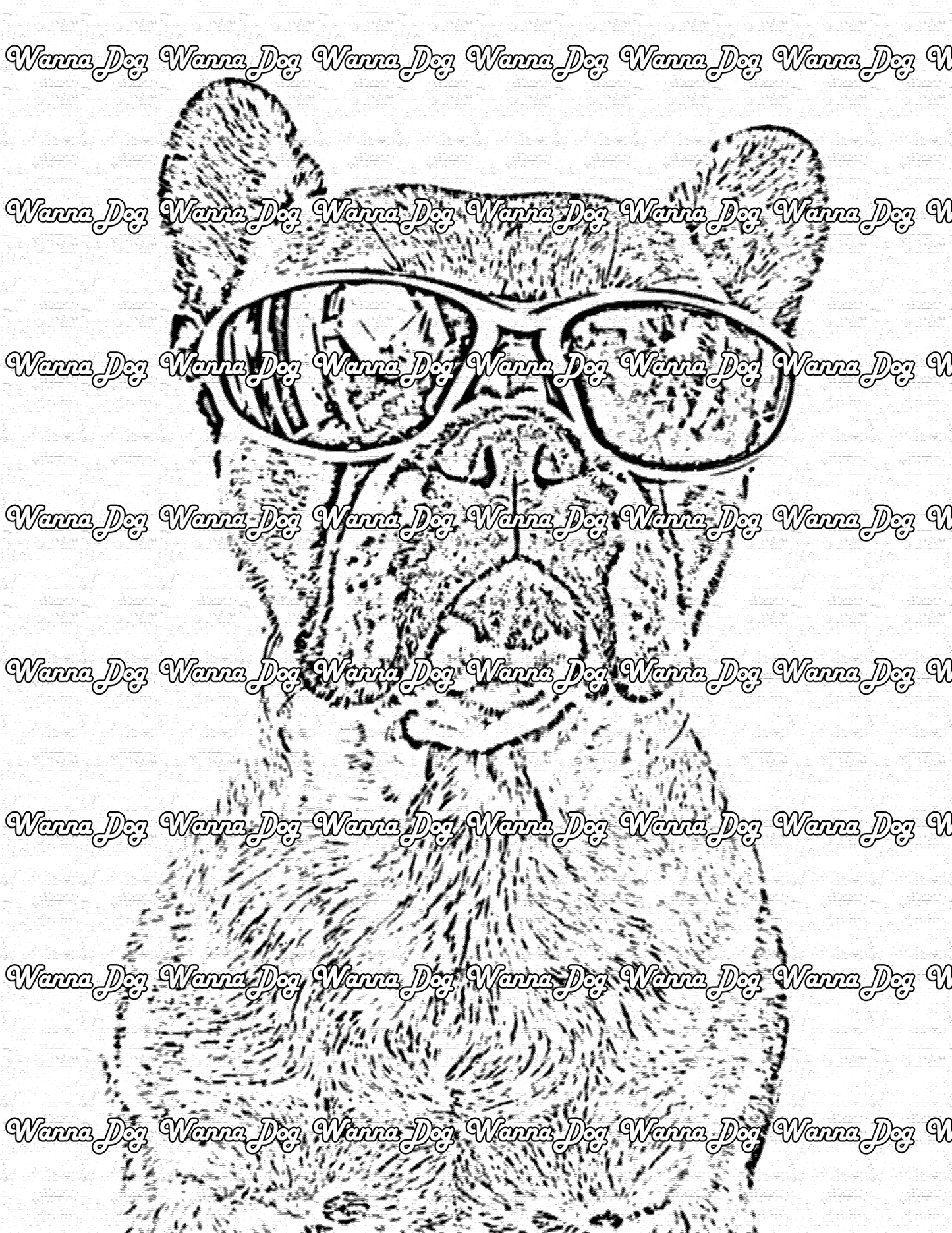 French Bulldog Coloring Page of a French Bulldog in sunglasses