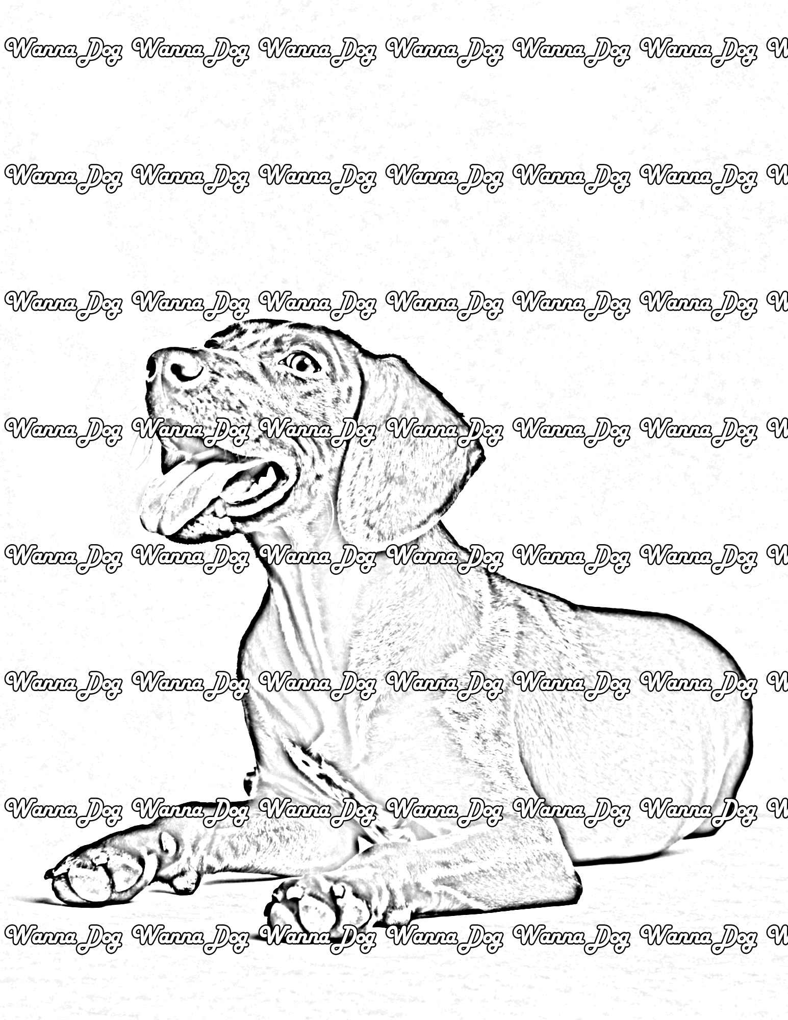 German Shorthaired Pointer Coloring Pages of a German Shorthaired Pointer sitting with their tongue out