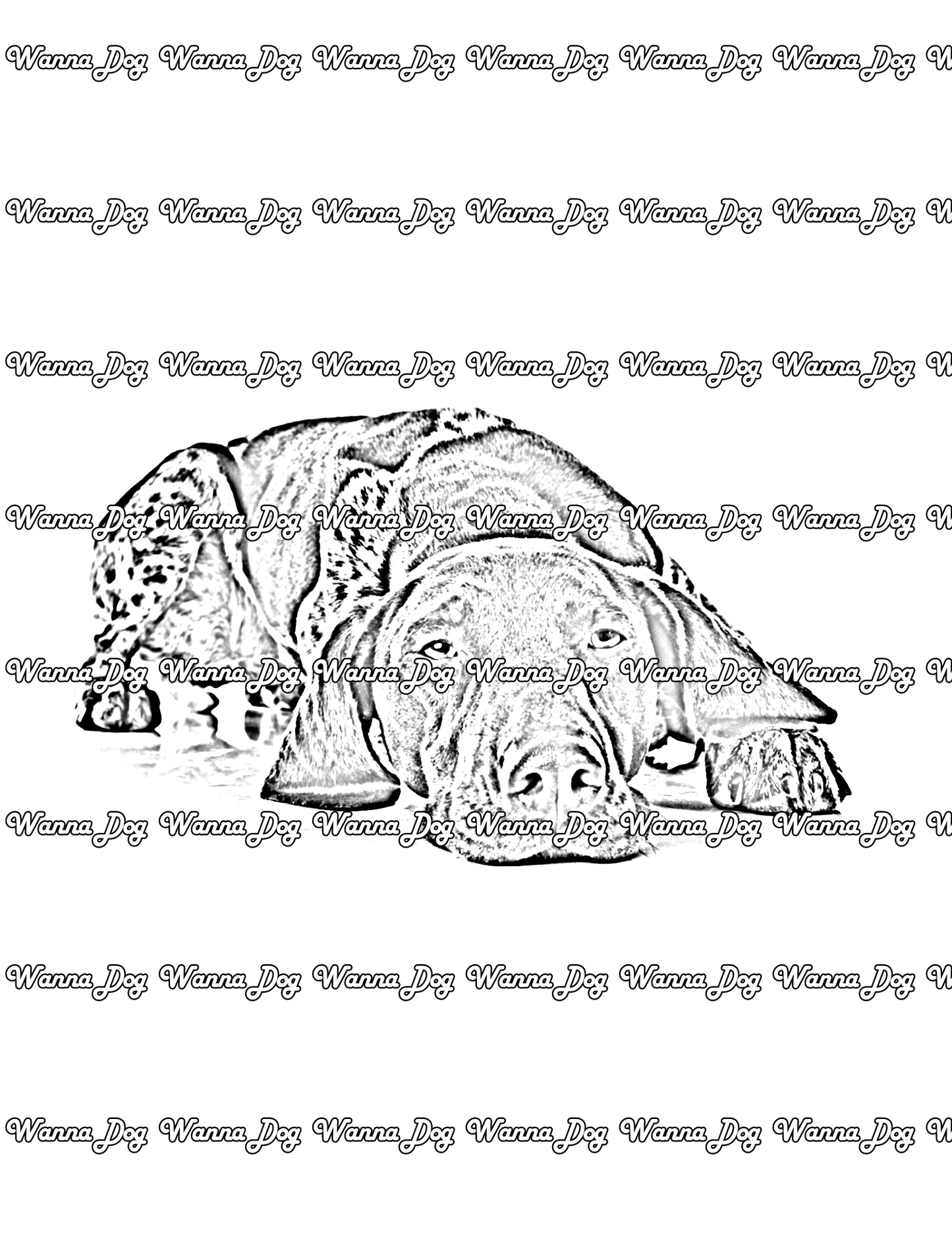 German Shorthaired Pointer Coloring Pages of a German Shorthaired Pointer laying down