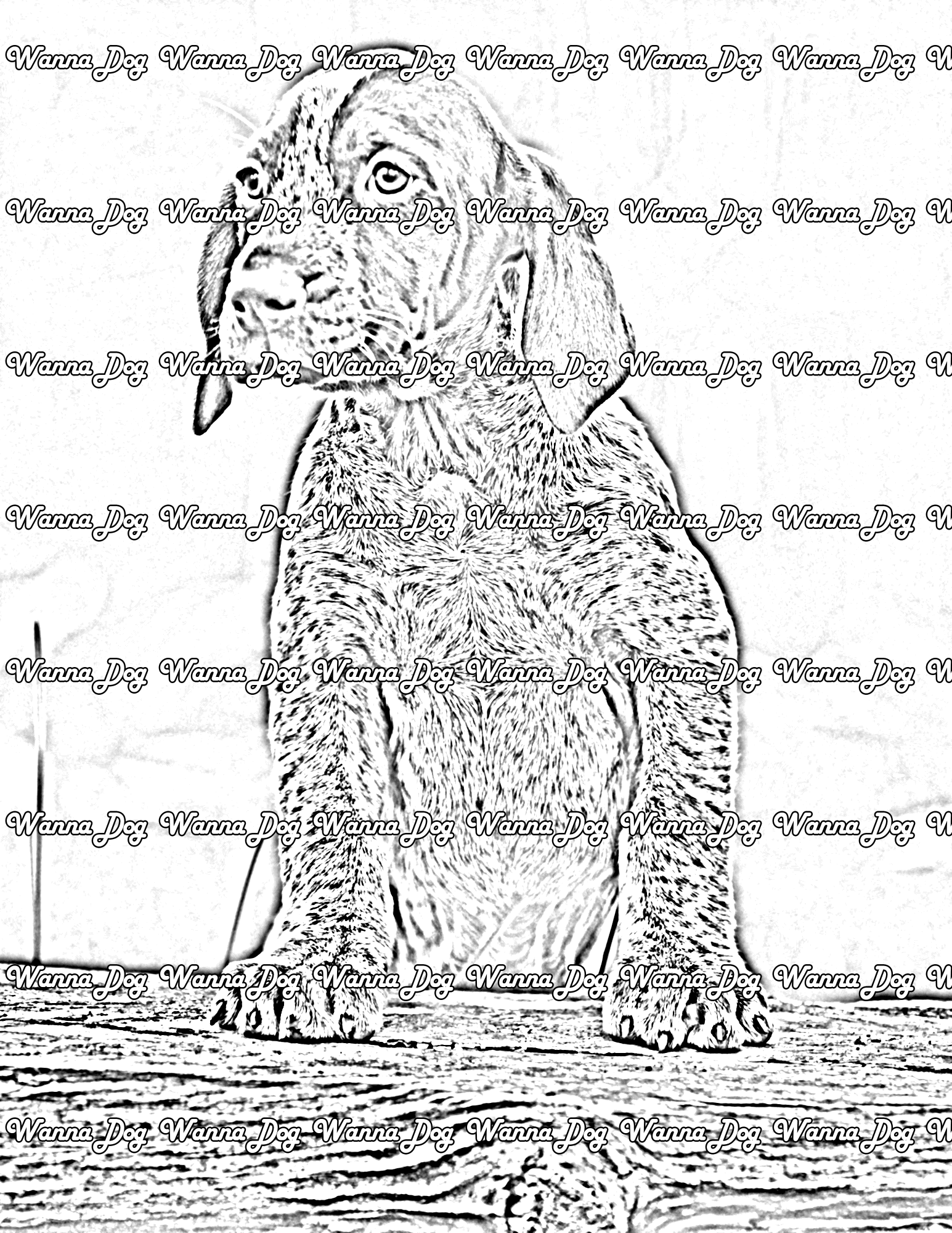 German Shorthaired Pointer Coloring Pages of a German Shorthaired Pointer sitting on a log